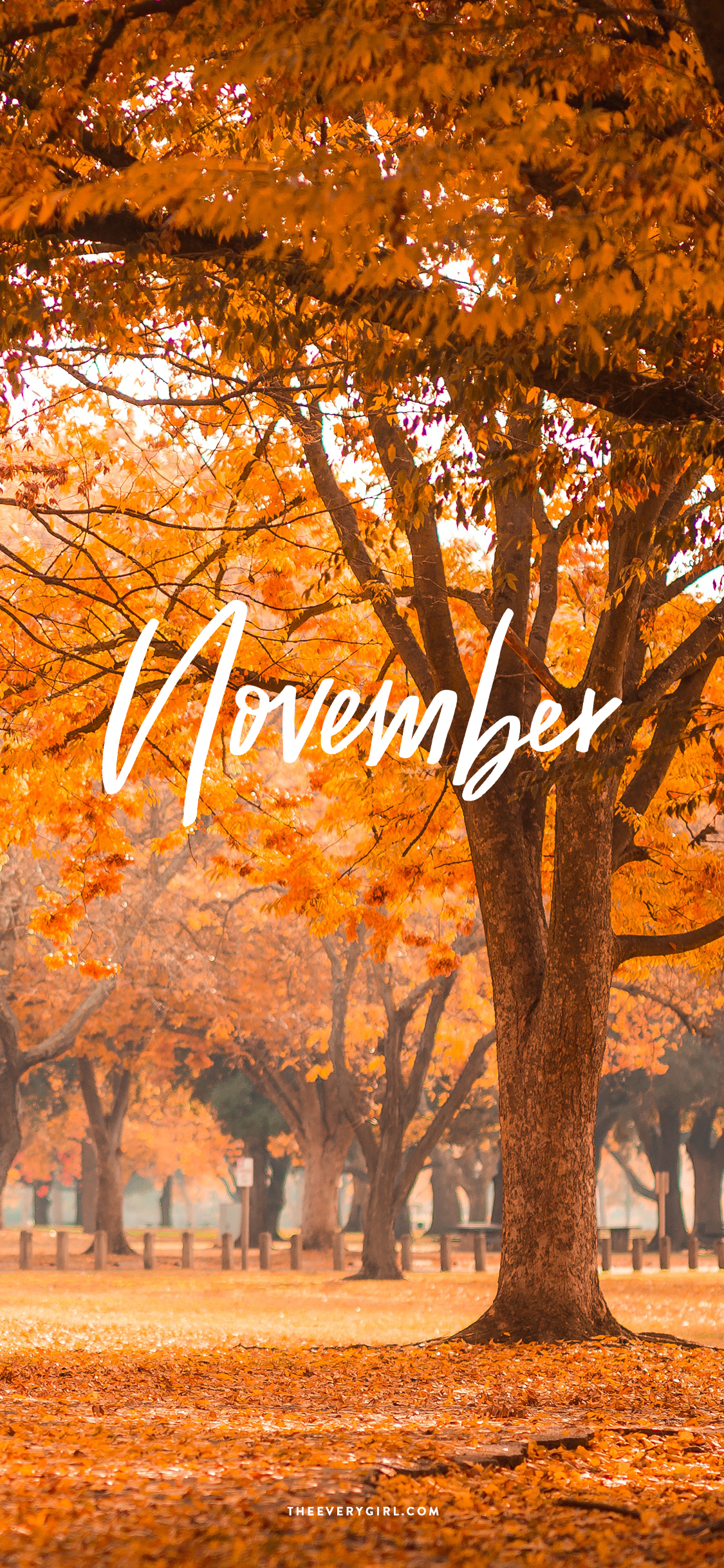 November Iphone Wallpapers