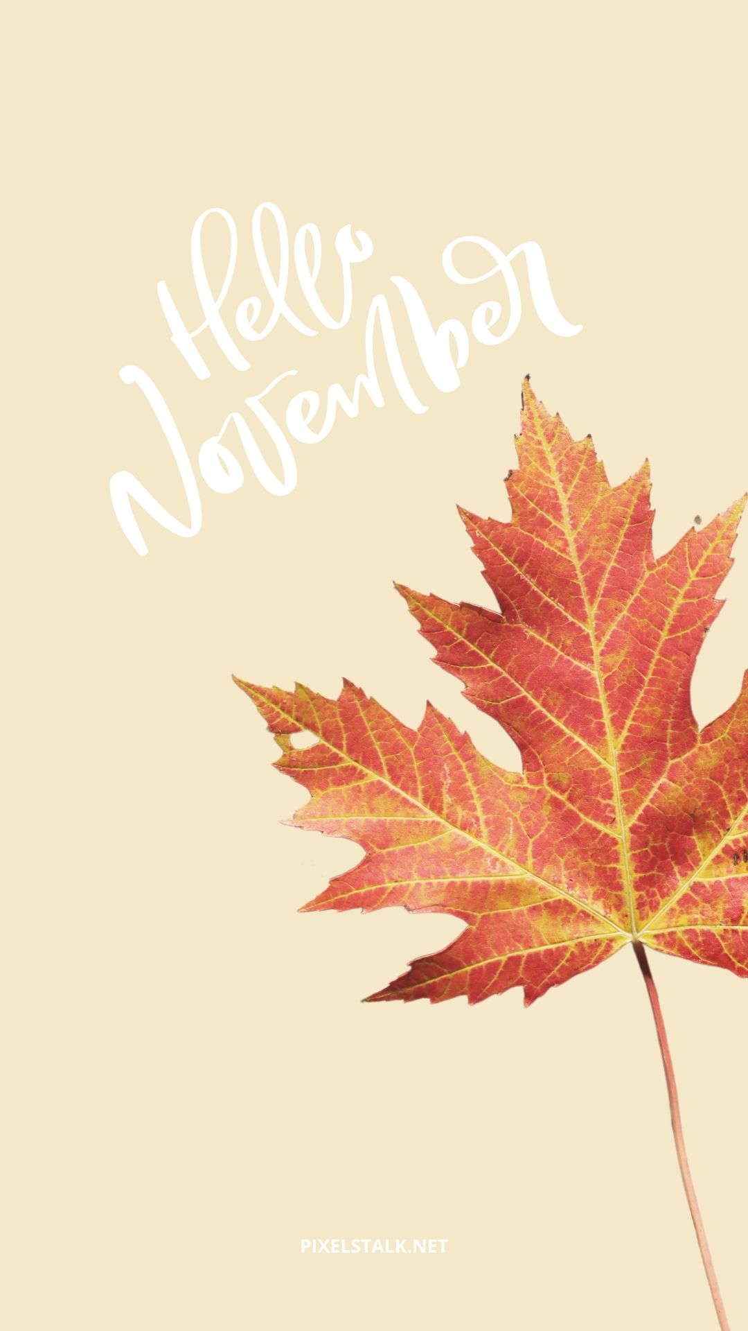 November Iphone Wallpapers