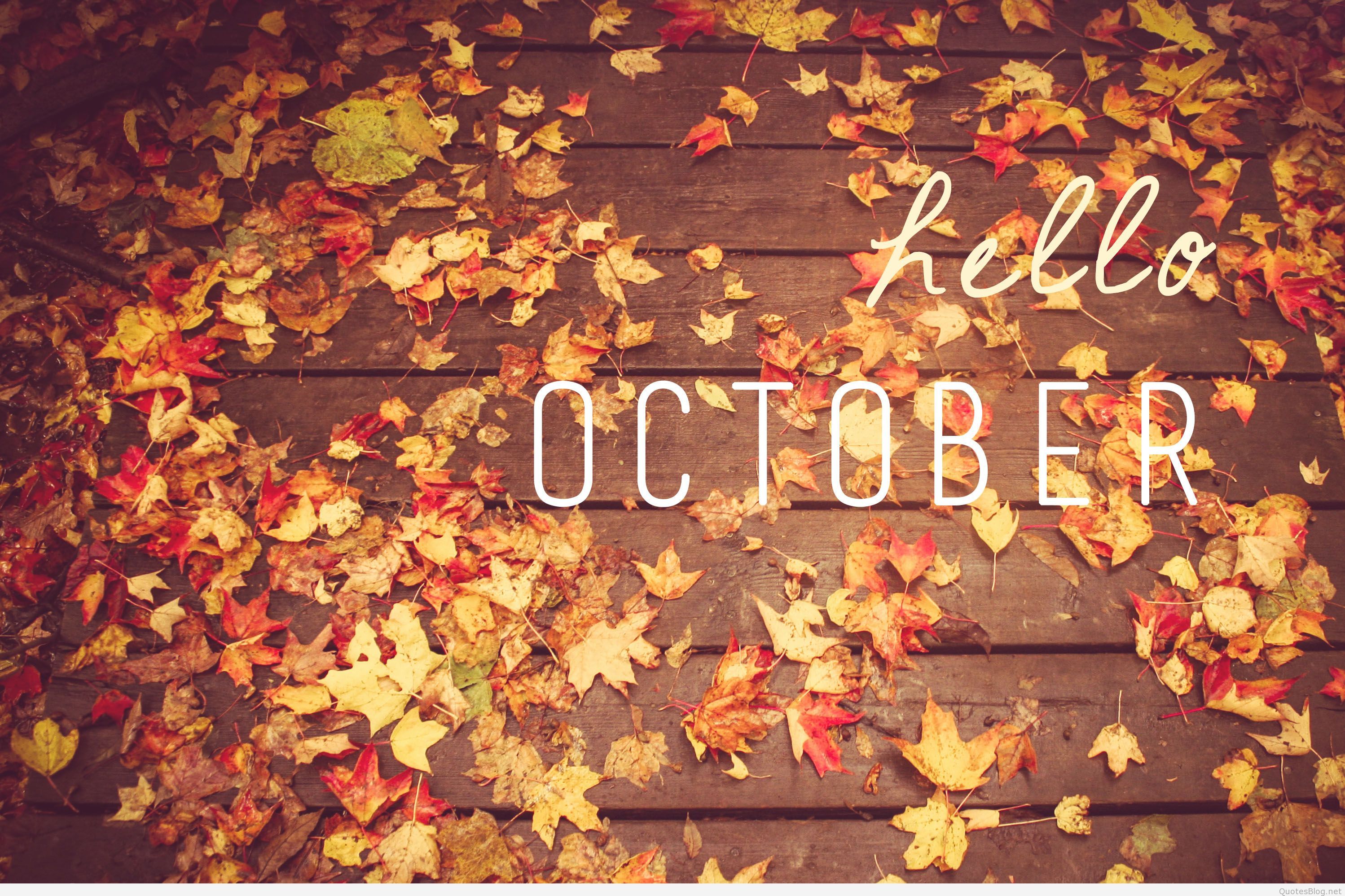 October Hd Wallpapers