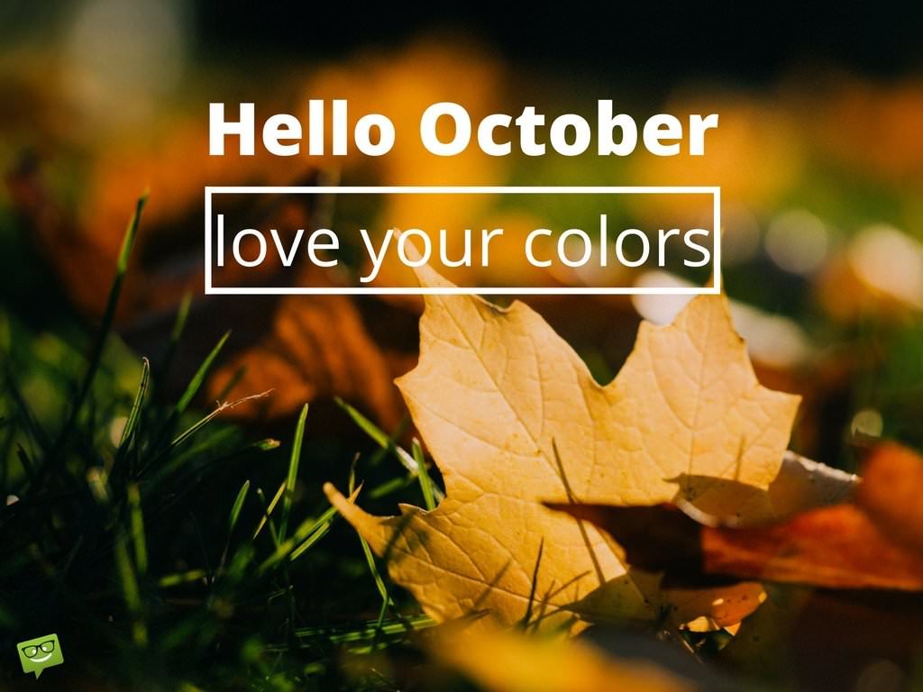 October Hd Wallpapers