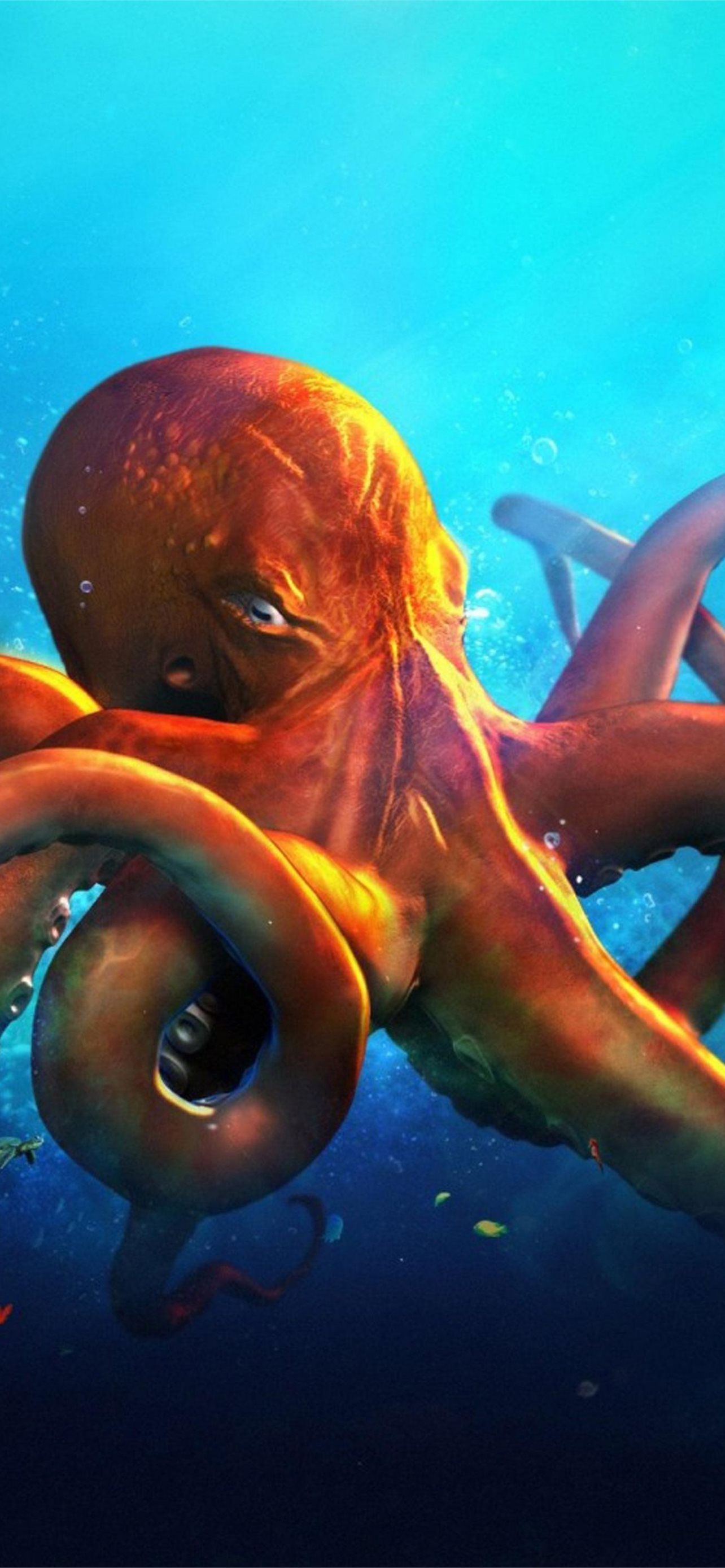 Octopus Iphone Wallpapers
