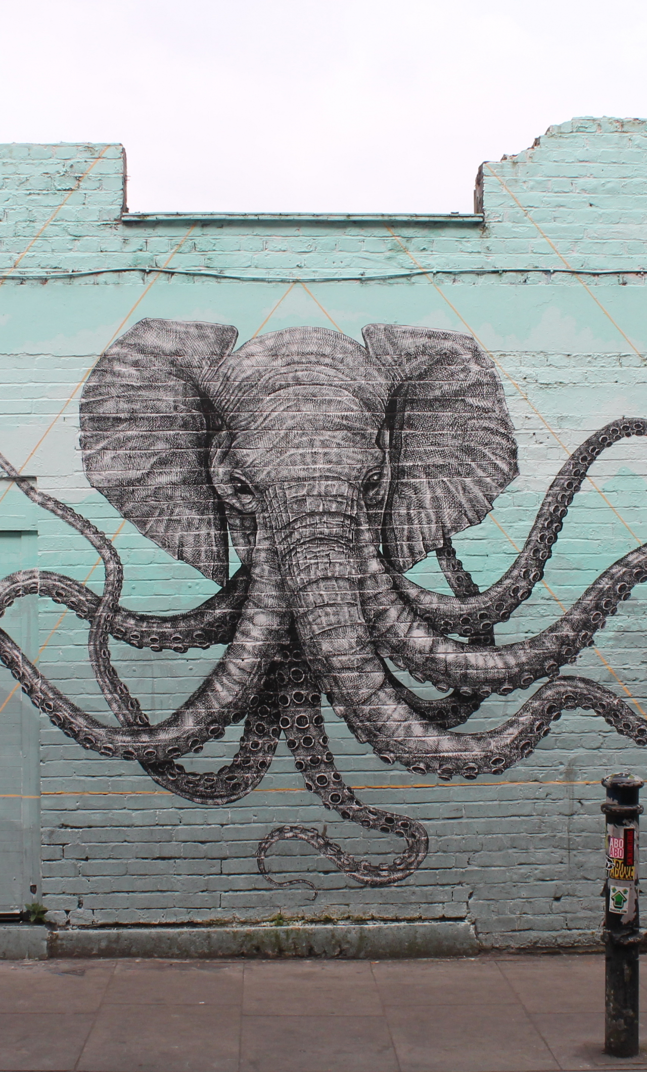 Octopus Iphone Wallpapers