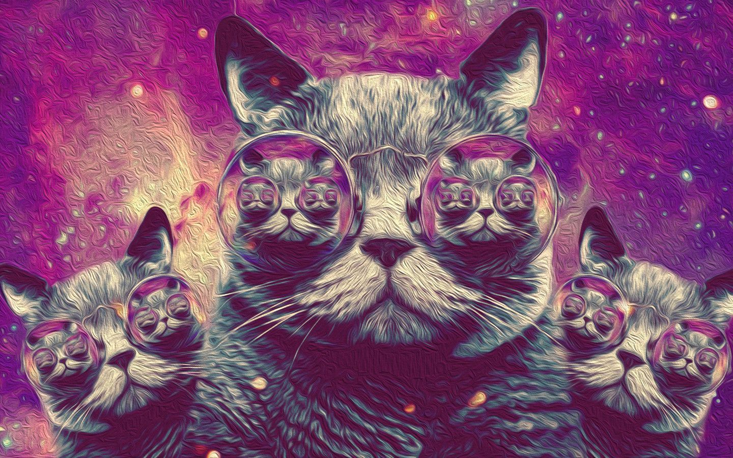 Off Future Cat Wallpapers