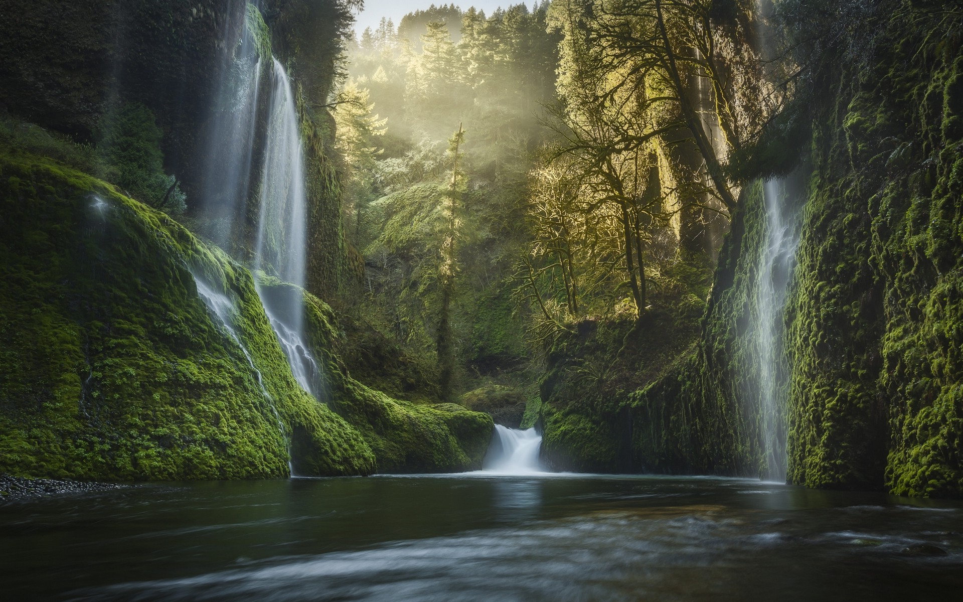 Oregon Forest Wallpapers