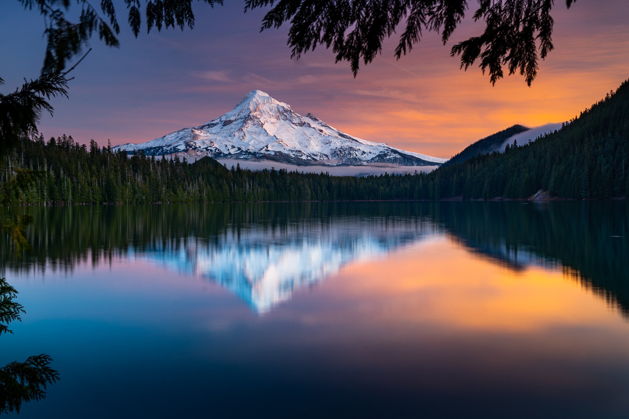 Oregon Forest Wallpapers