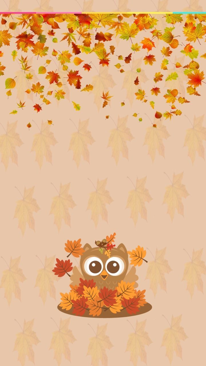 Owl In Fall Wallpapers