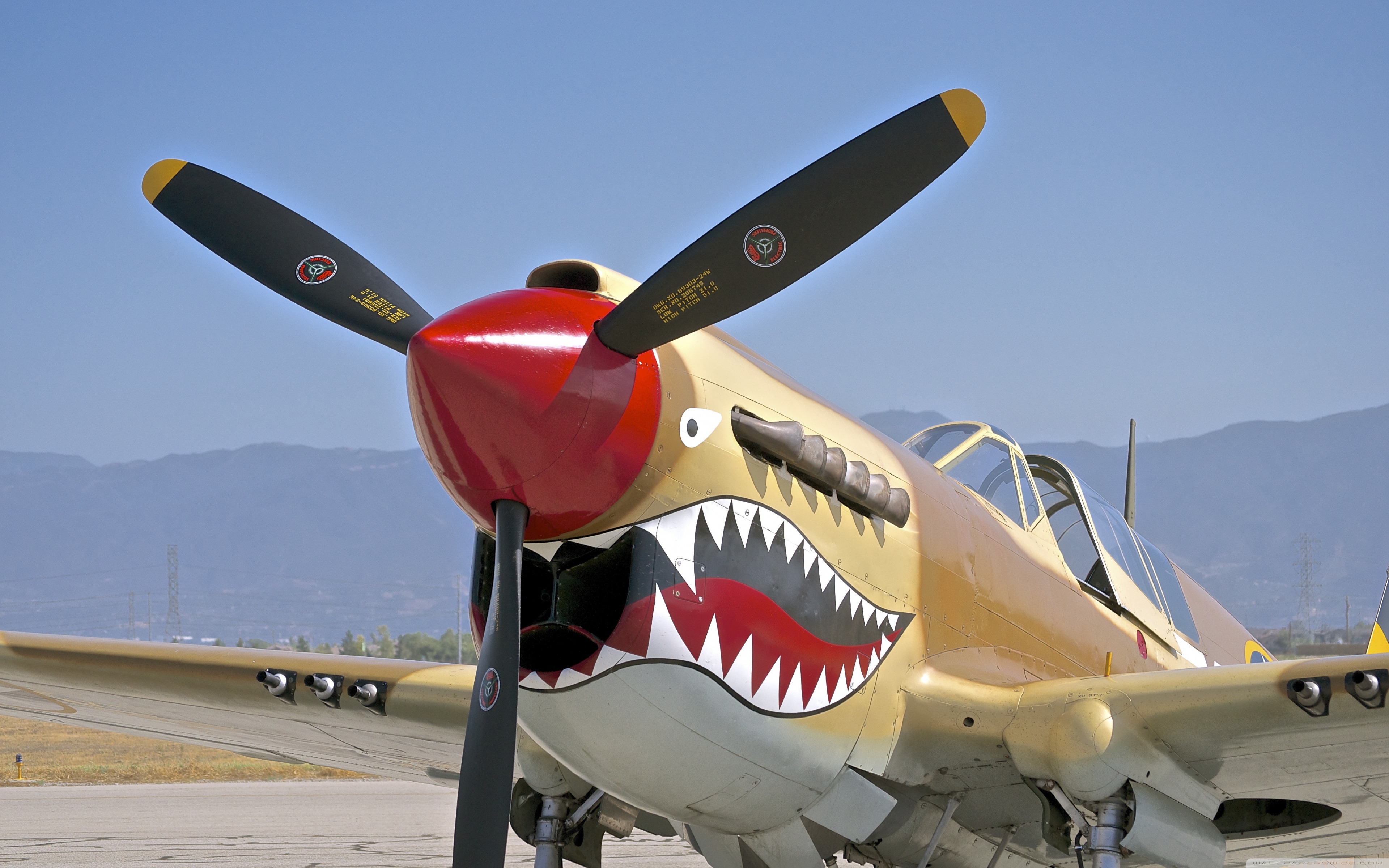 P-40 Wallpapers