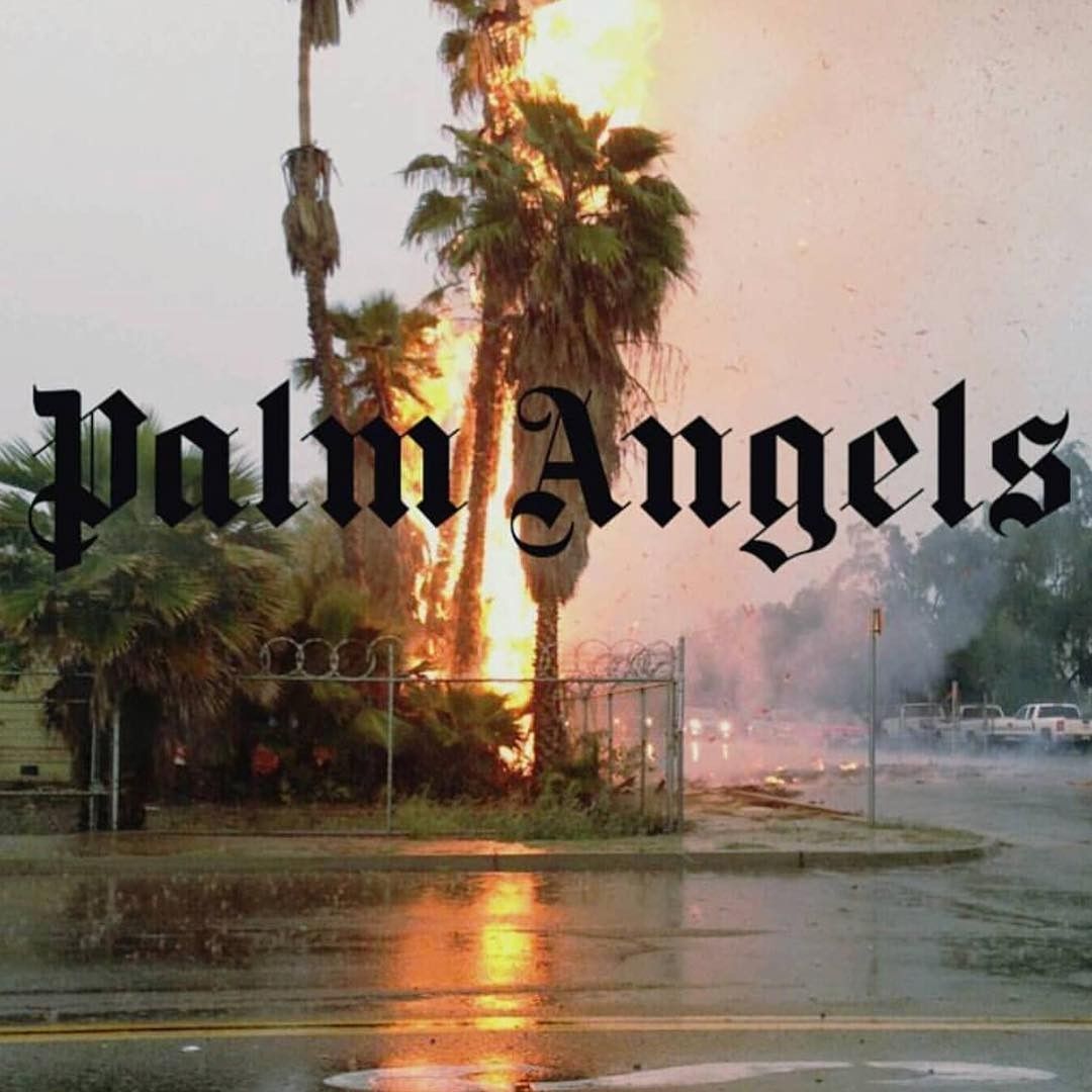 Palm Angels Wallpapers