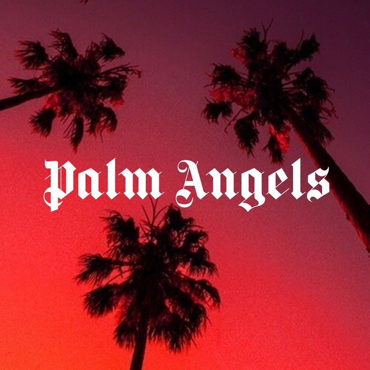 Palm Angels Wallpapers