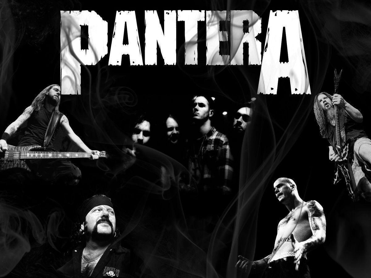 Pantera Wall Paper Wallpapers