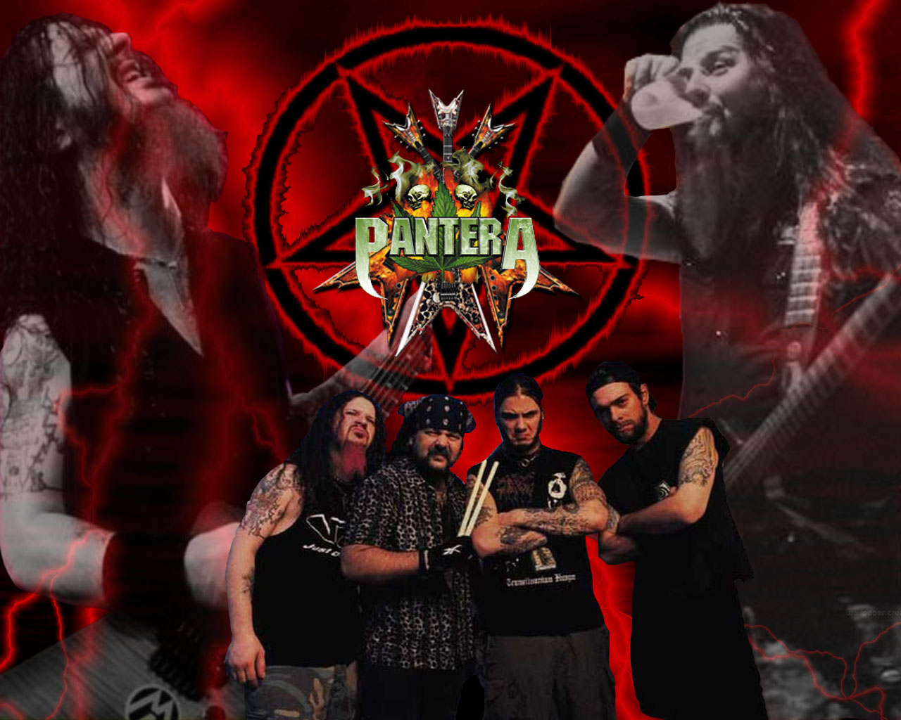 Pantera Wall Paper Wallpapers