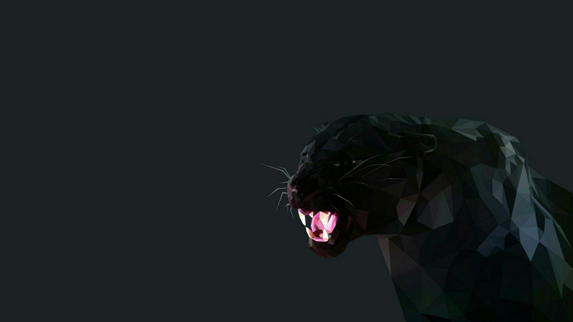 Panther Screensavers Wallpapers