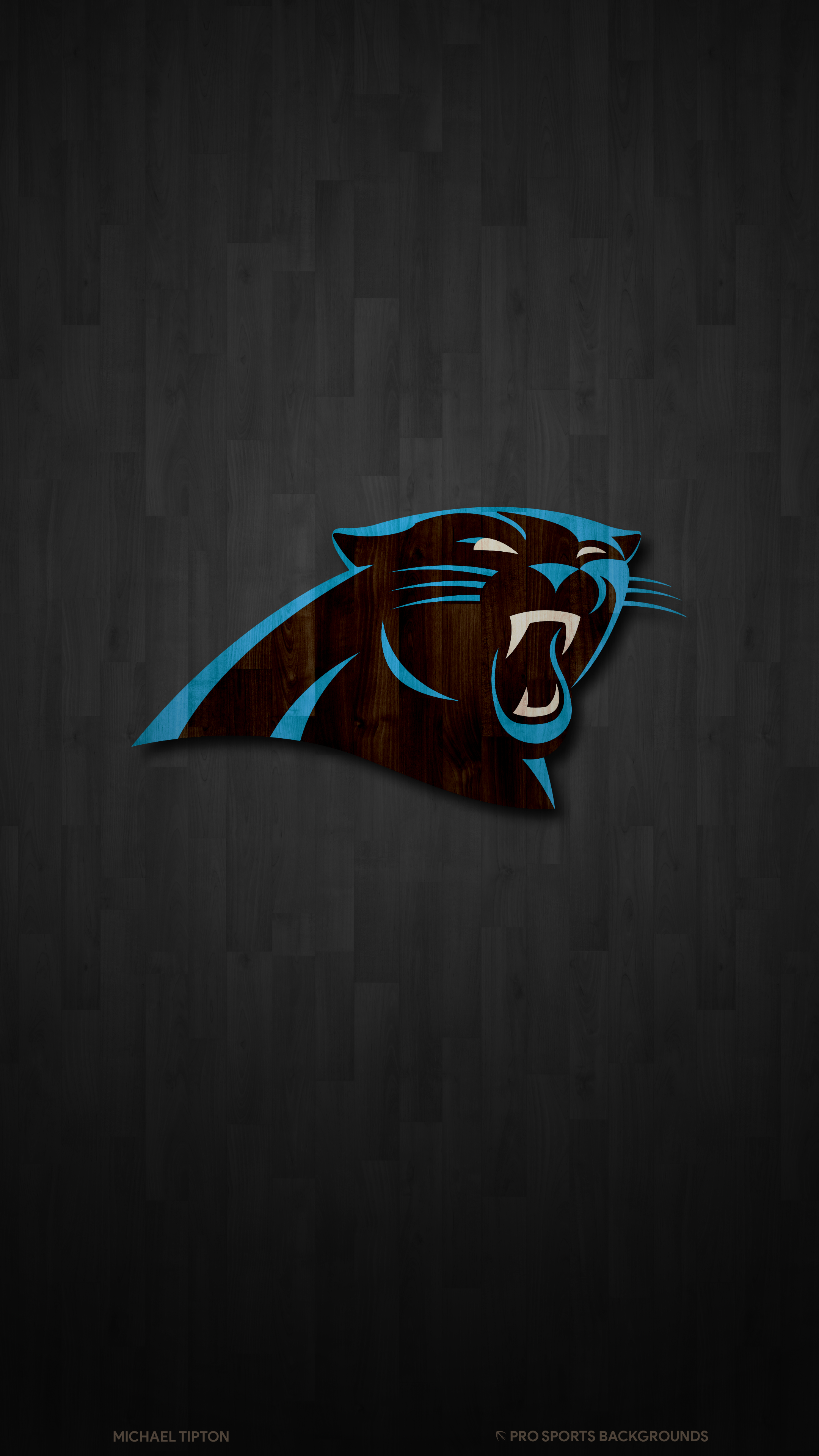 Panthers Logo Wallpapers