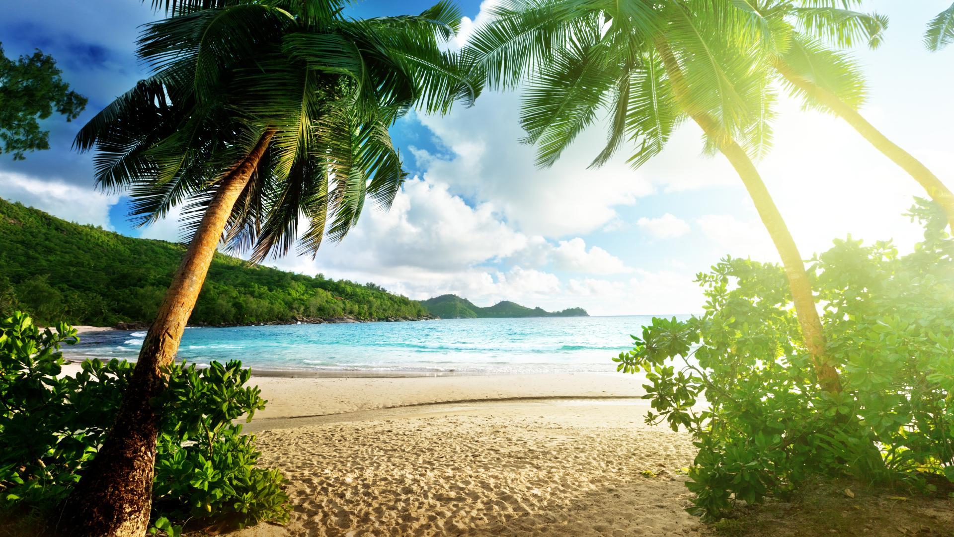 Paradise Hd Wallpapers