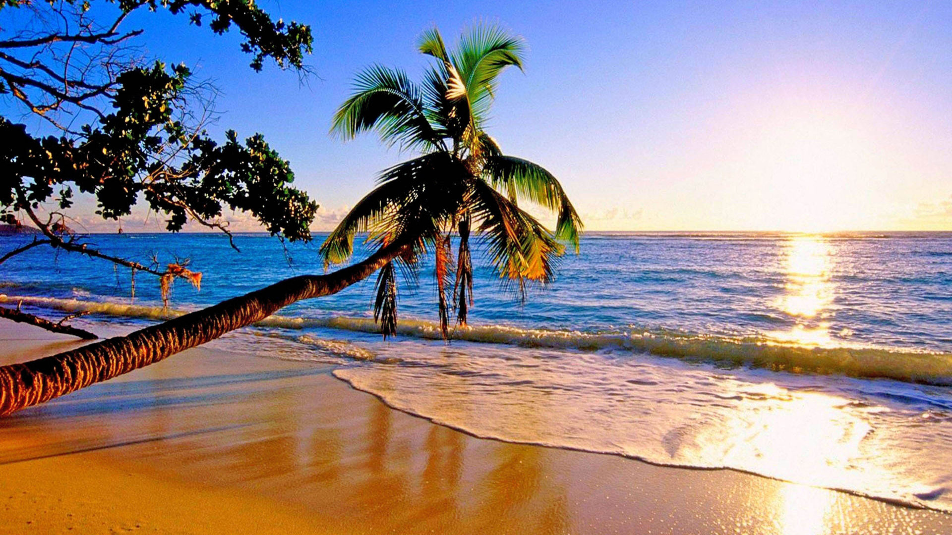 Paradise Hd Wallpapers