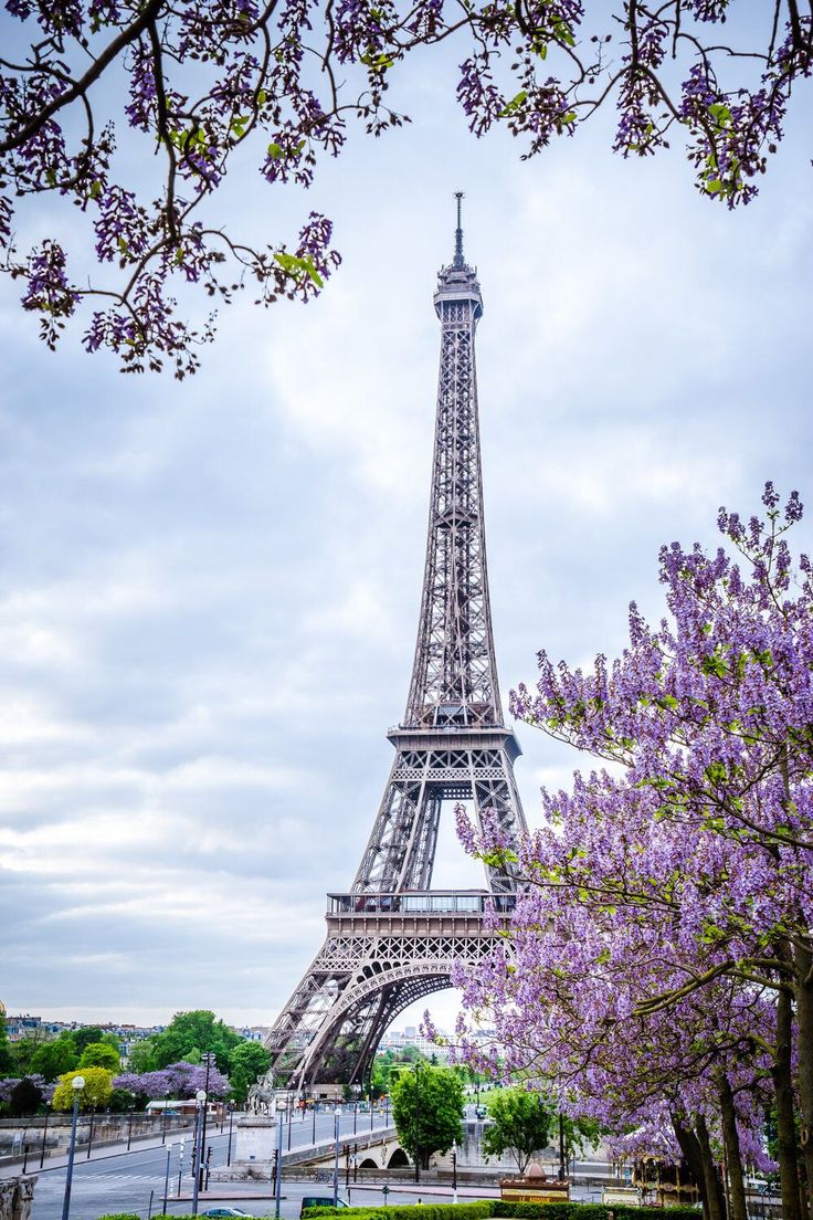 Paris Nature Wallpapers