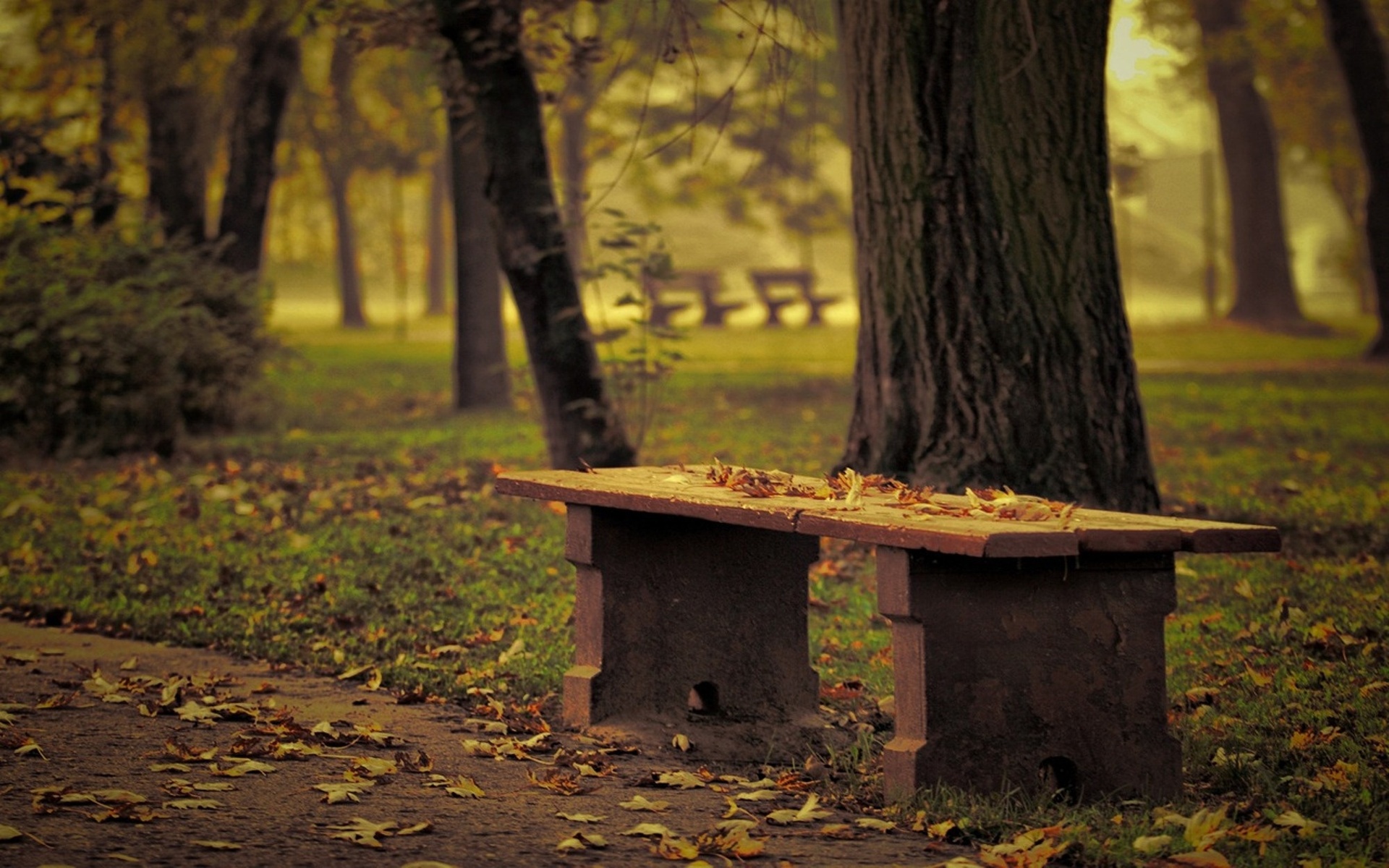 Park Bench Wallpapers