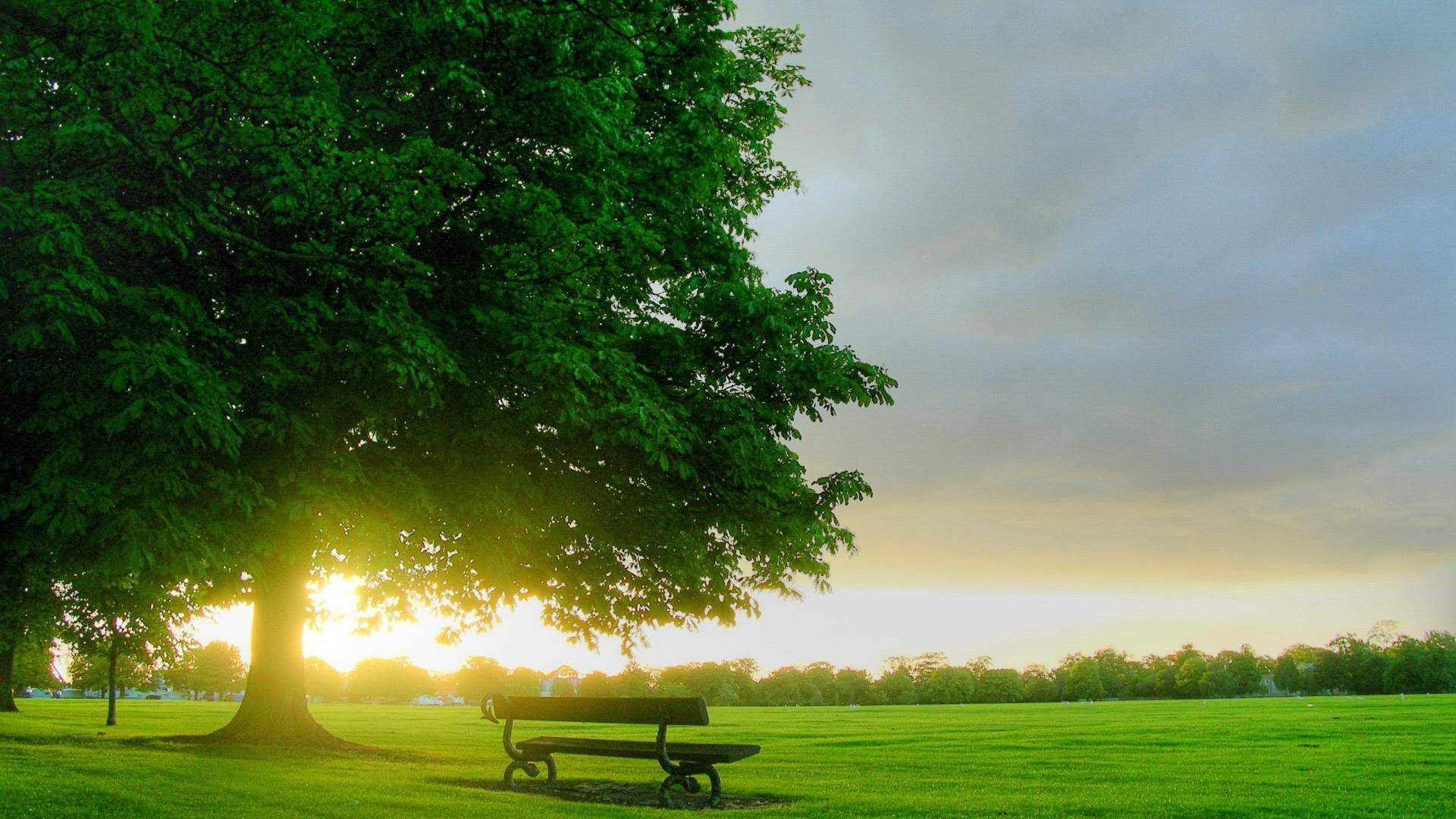 Park Bench Wallpapers