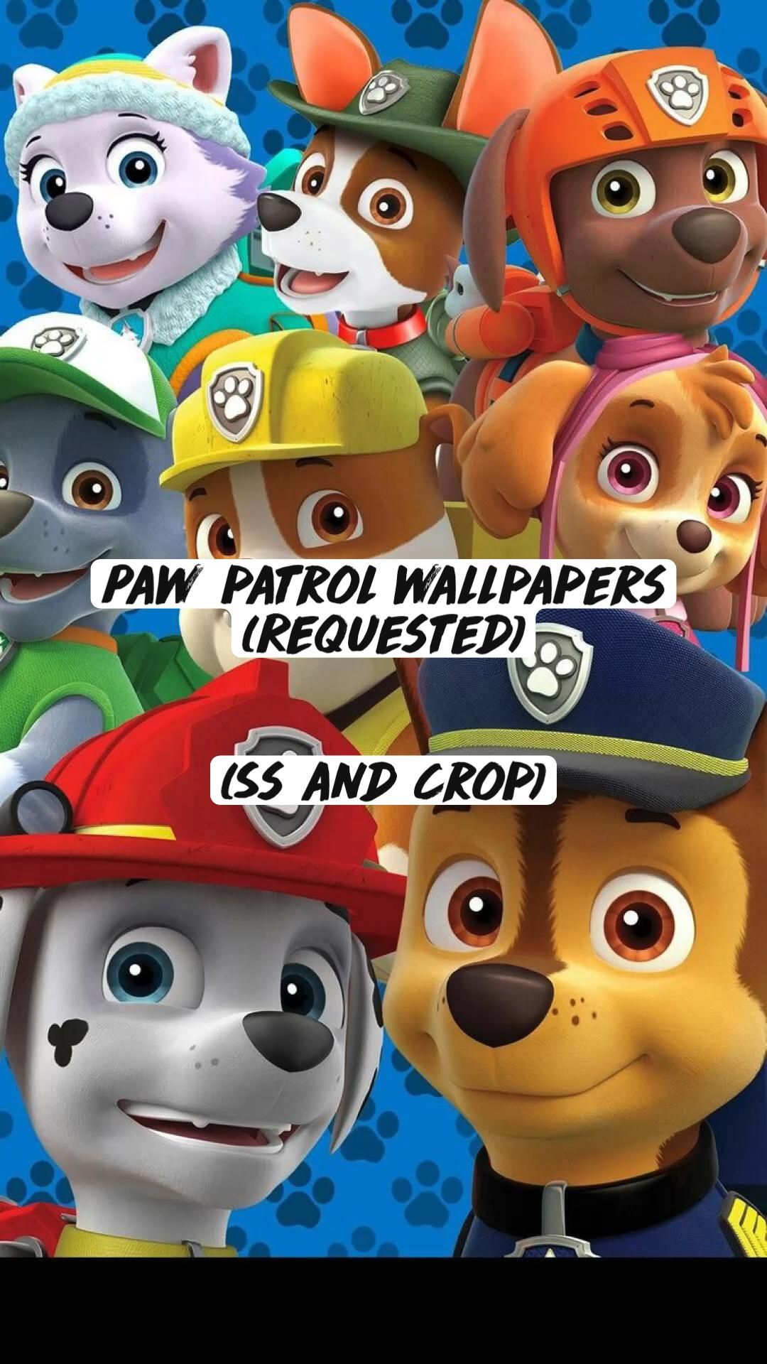 Paw Patrol Screensaver Wallpapers