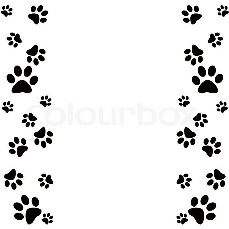 Paw Print Border Wallpapers