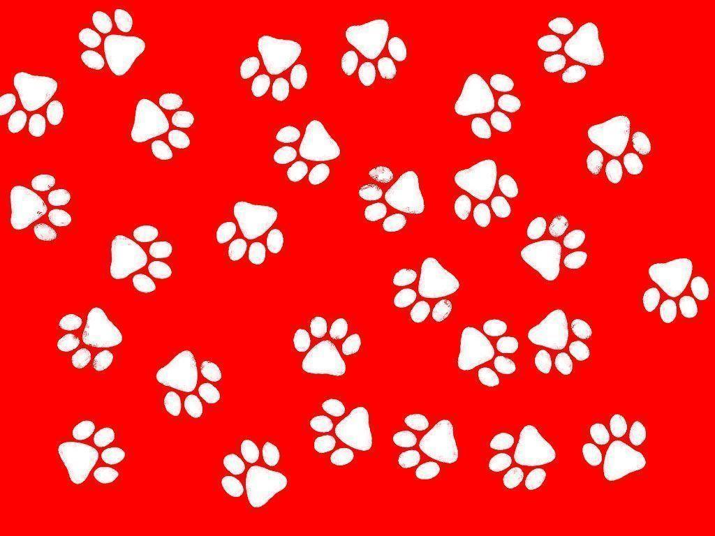 Paw Print Border Wallpapers