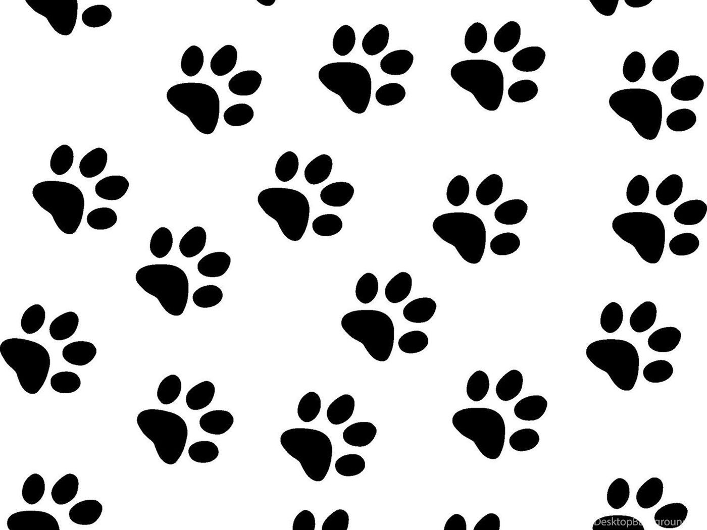 Paw Print Border Wallpapers