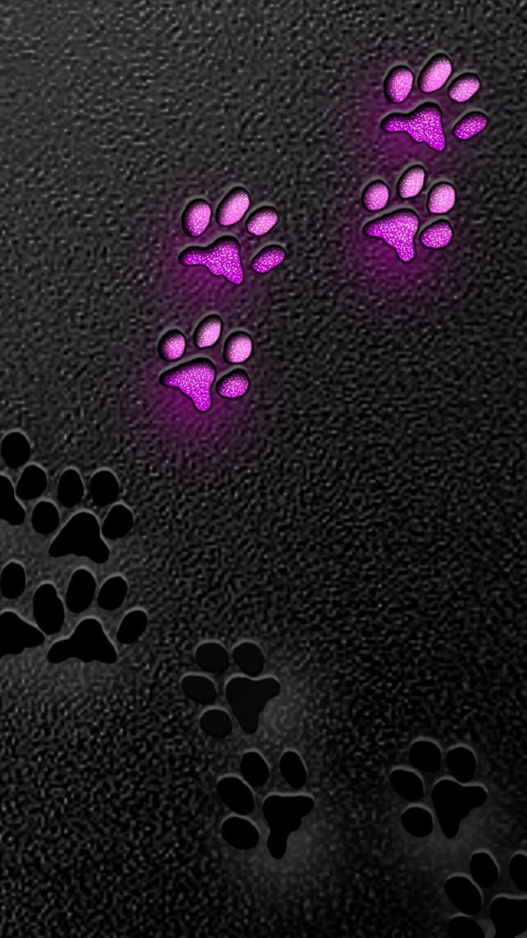 Paw Print Border Wallpapers