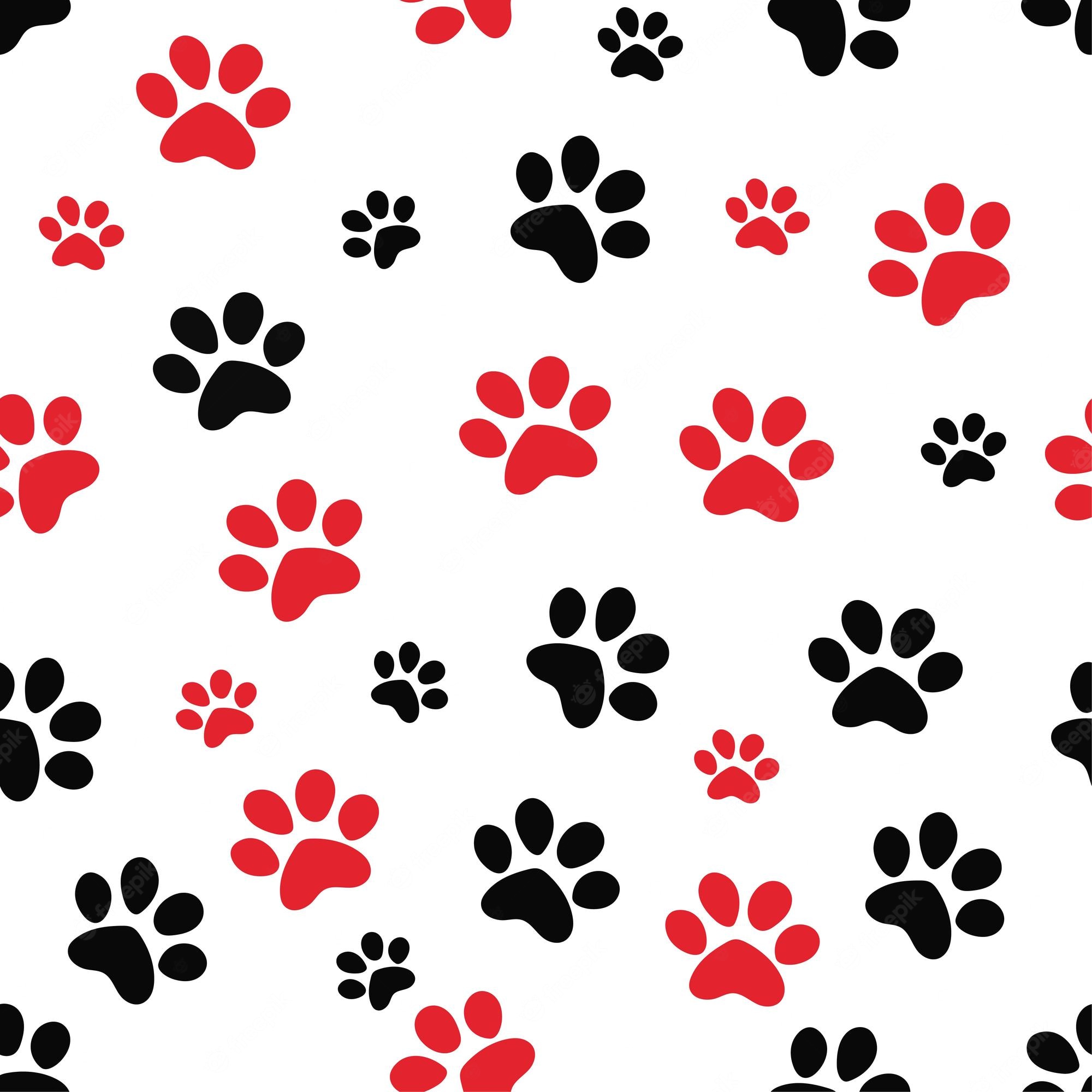 Paw Print Border Wallpapers