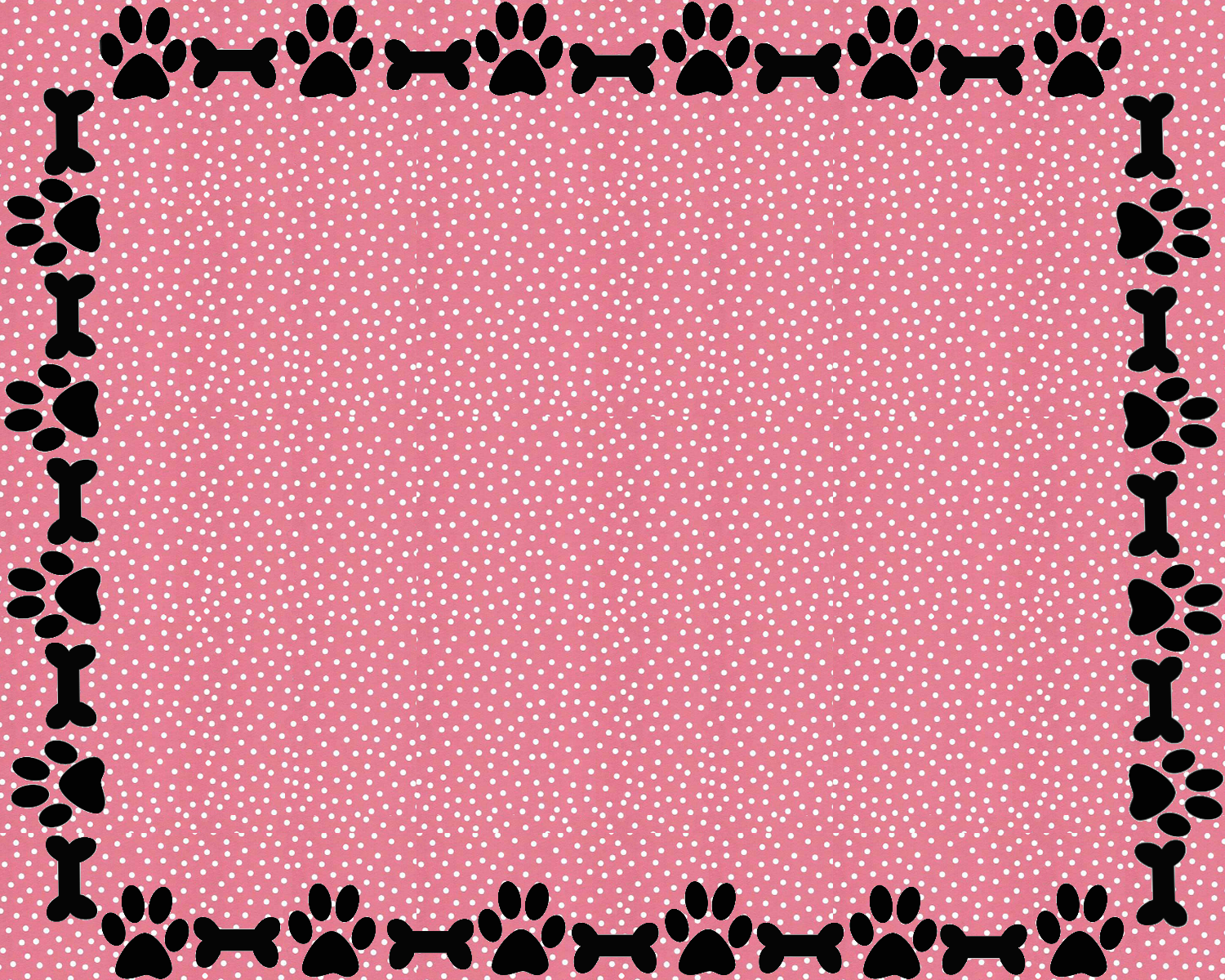 Paw Print Border Wallpapers