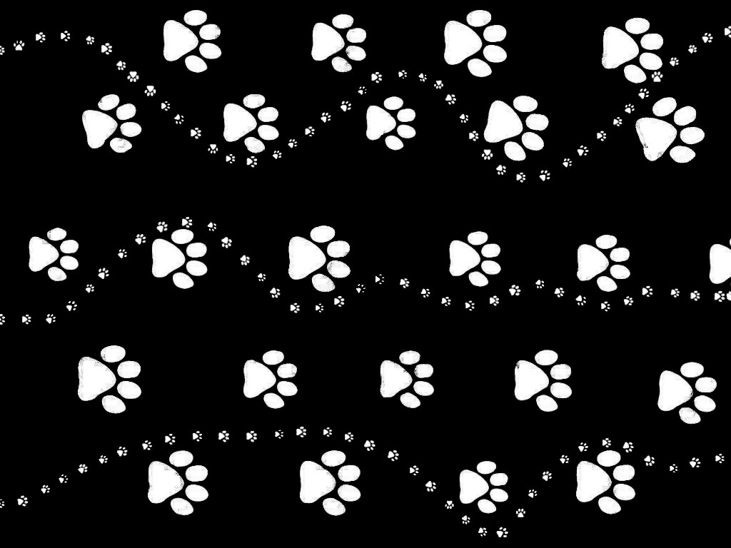 Paw Print Border Wallpapers