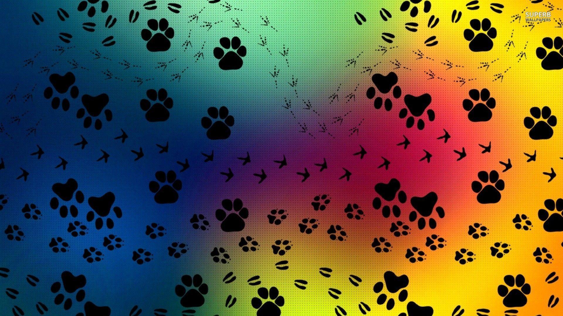 Paw Print Border Wallpapers