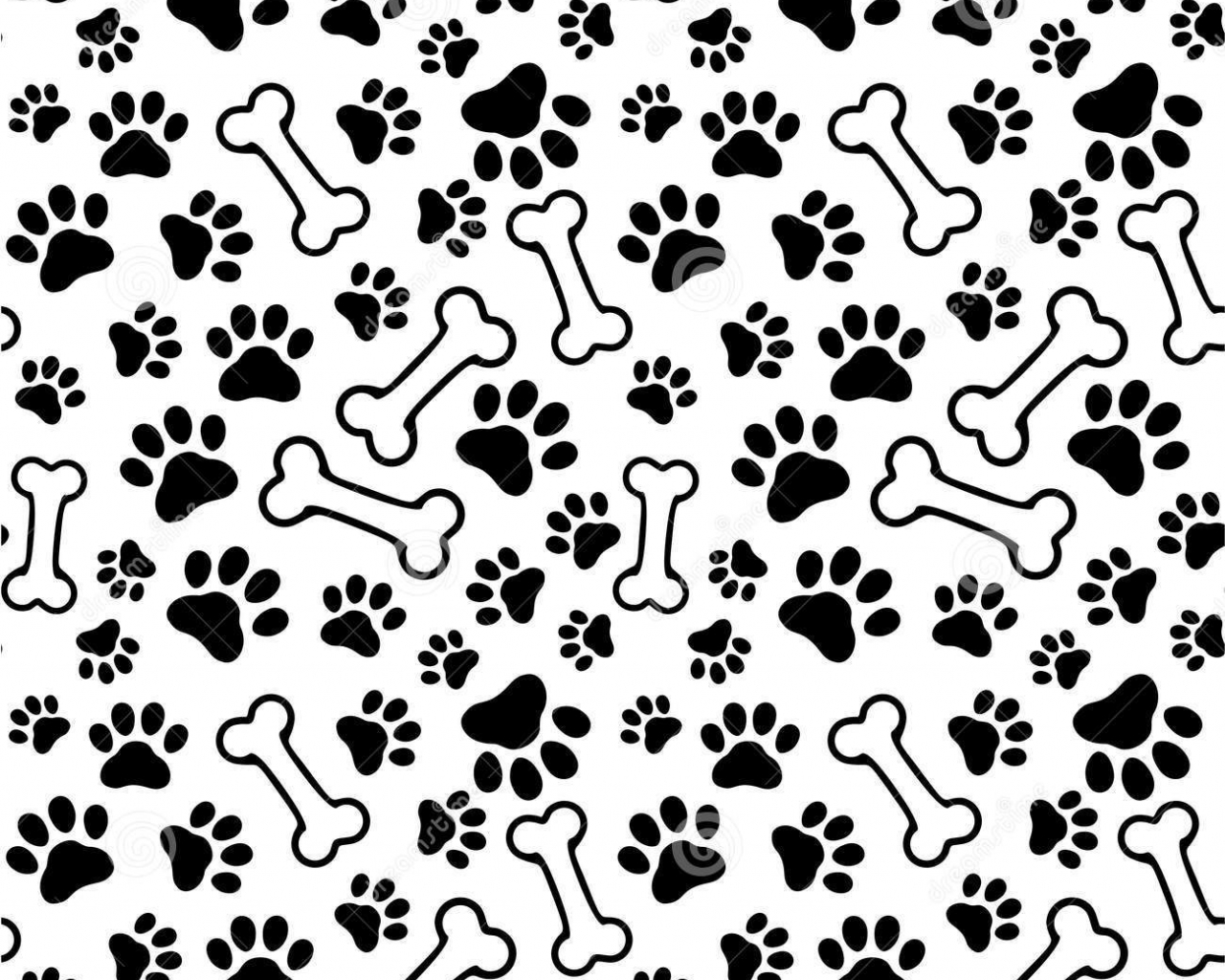 Paw Print Border Wallpapers