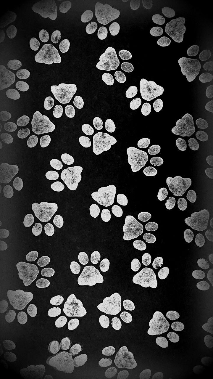 Paw Print For Iphone Wallpapers