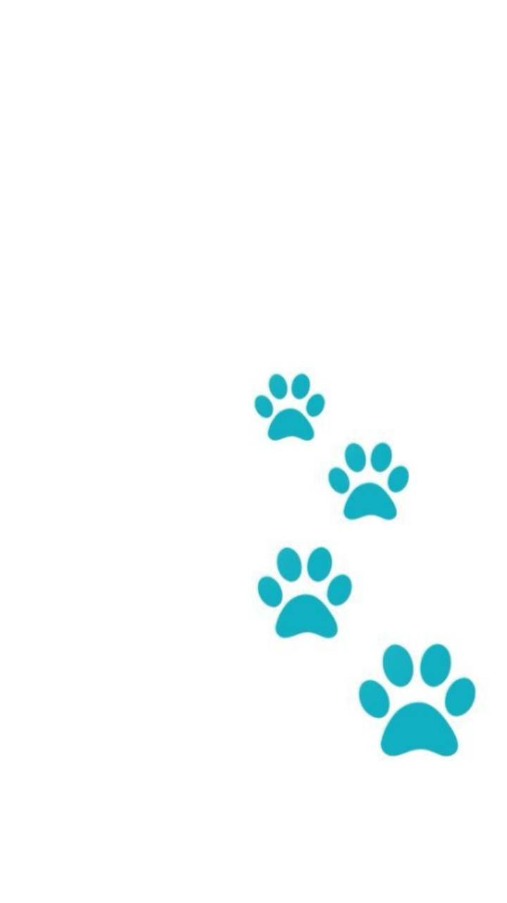 Paw Print For Iphone Wallpapers