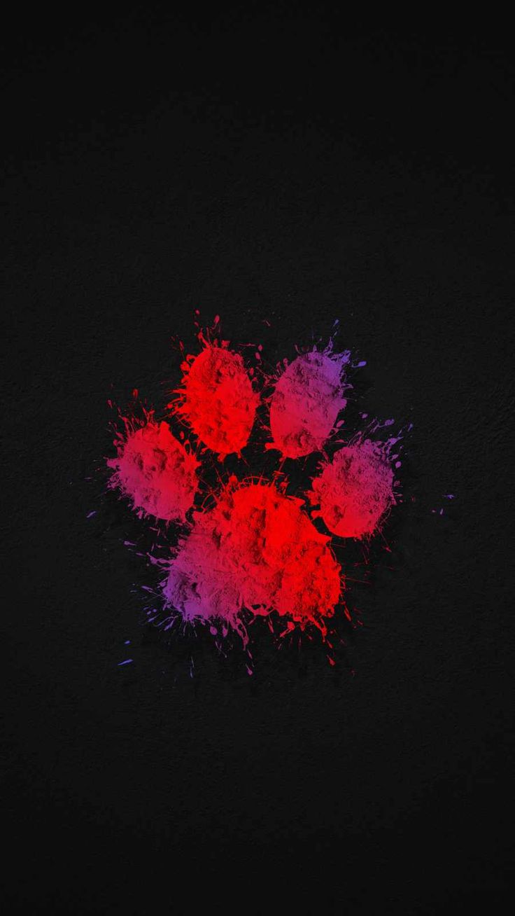 Paw Print For Iphone Wallpapers