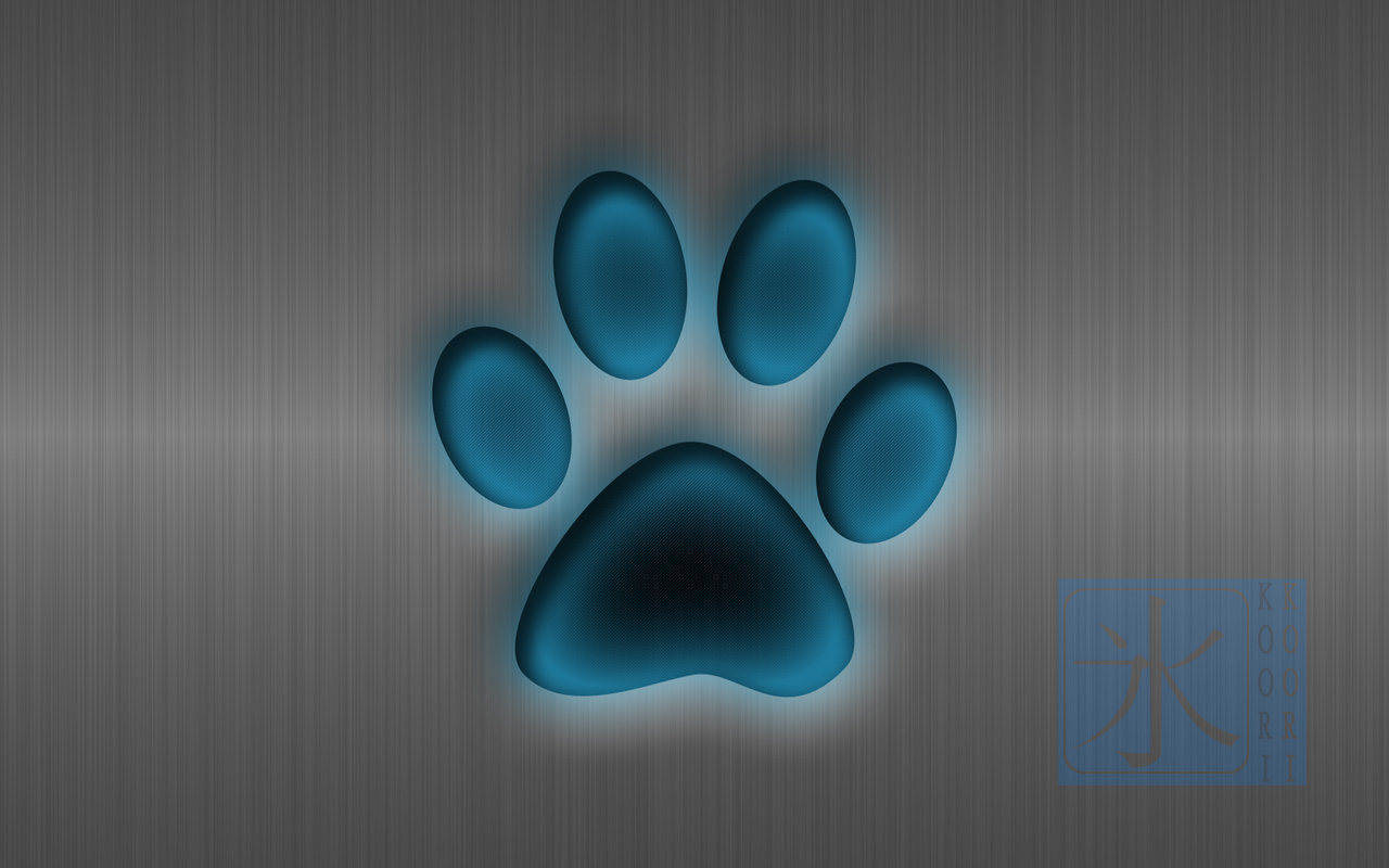 Paw Print For Iphone Wallpapers