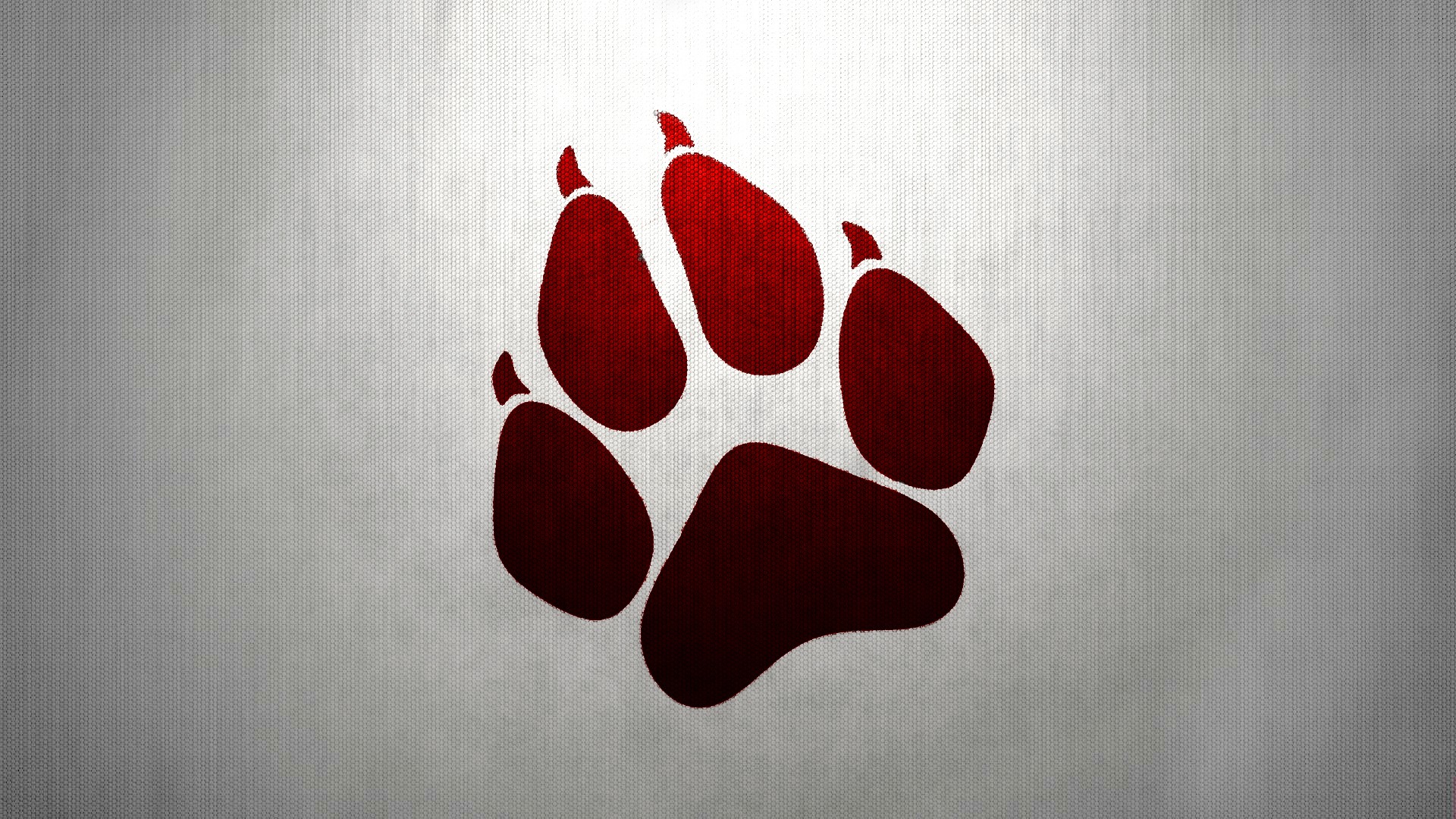 Paw Wallpapers