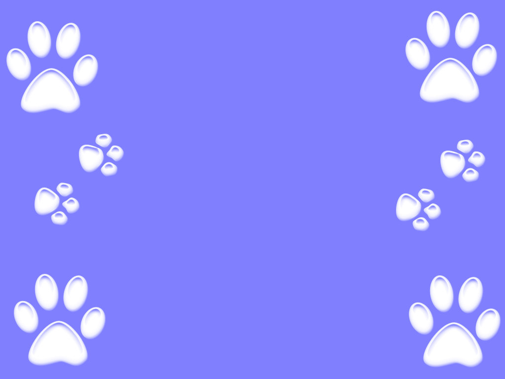 Paw Wallpapers