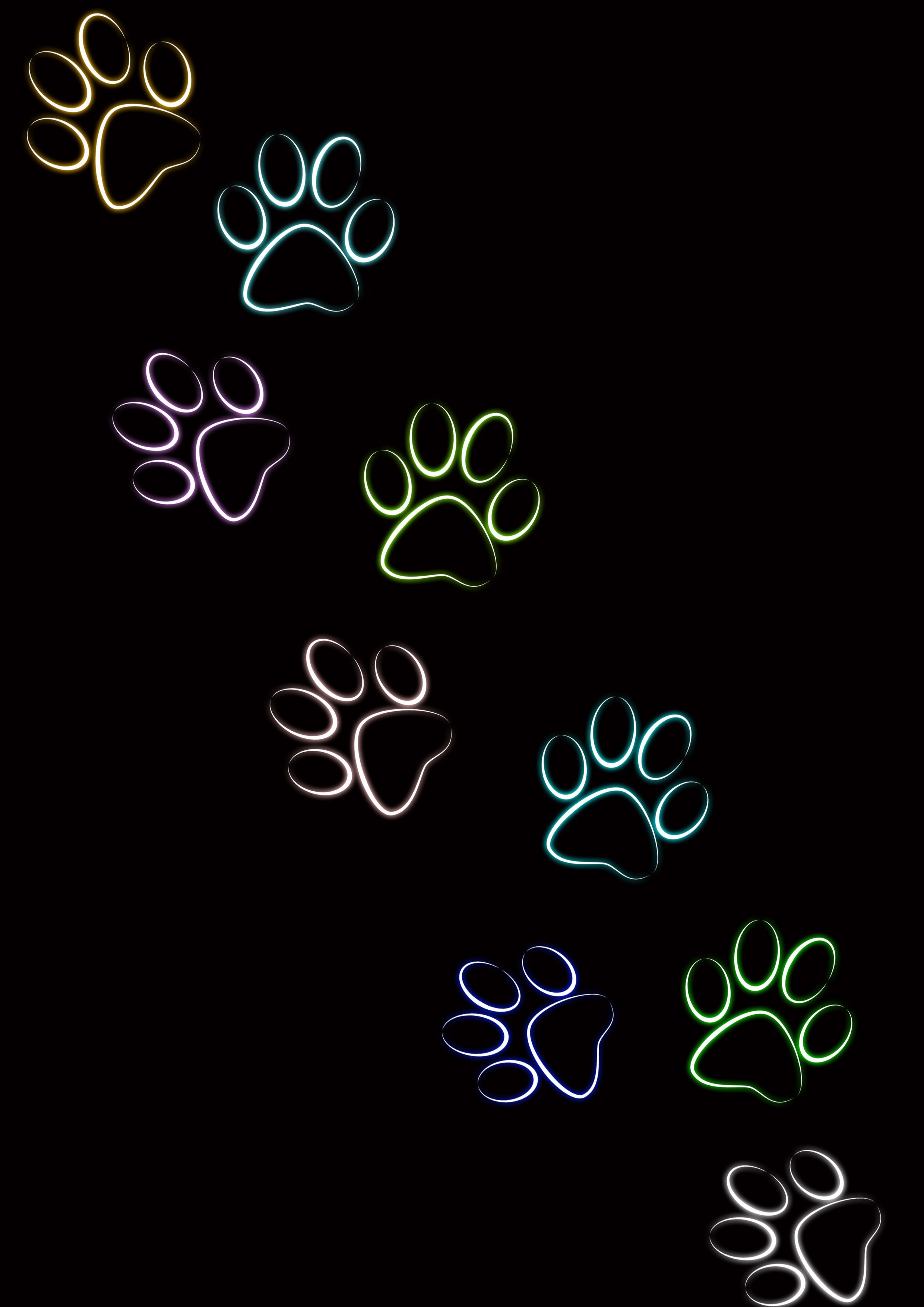 Paw Wallpapers