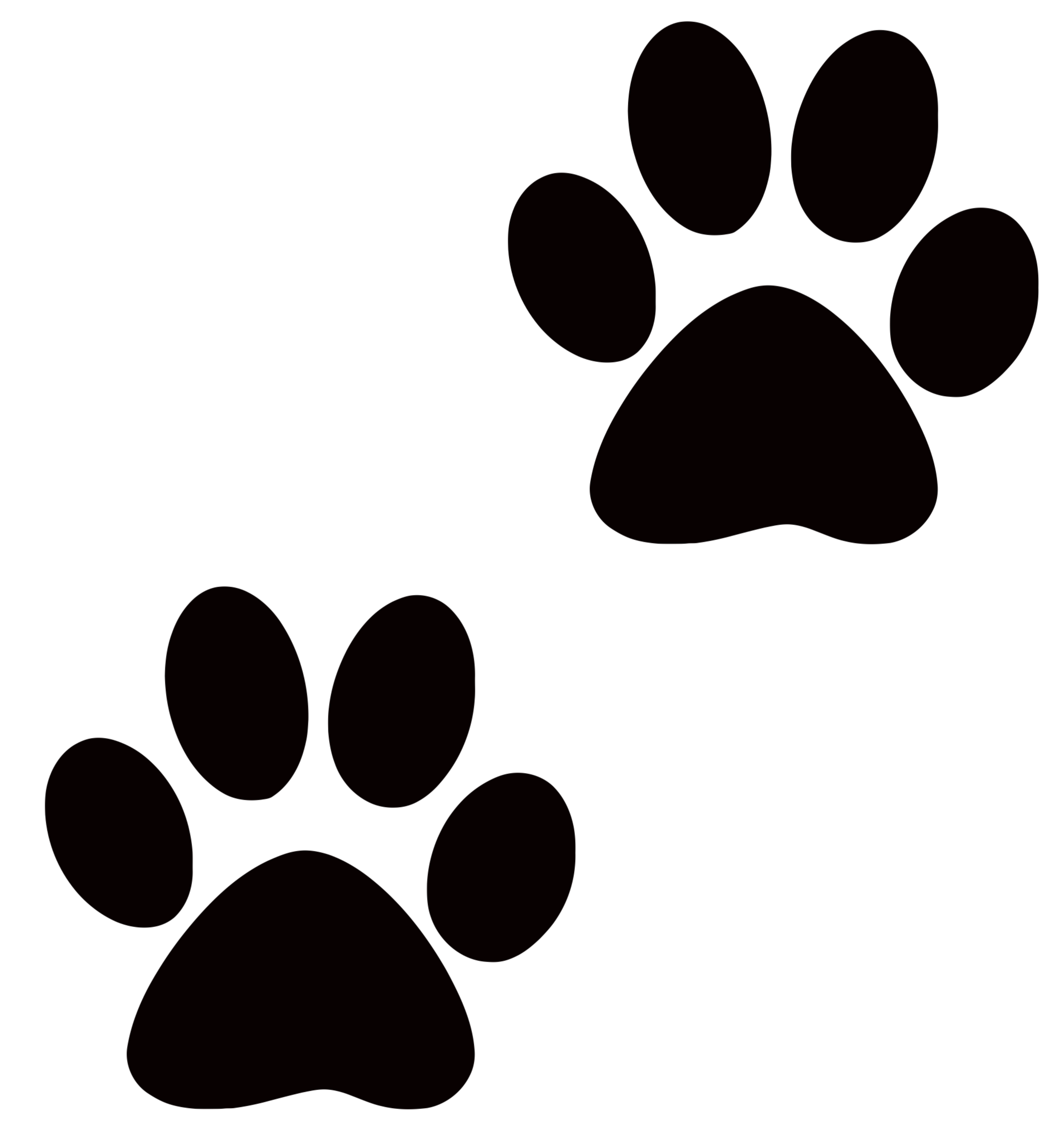 Paw Wallpapers