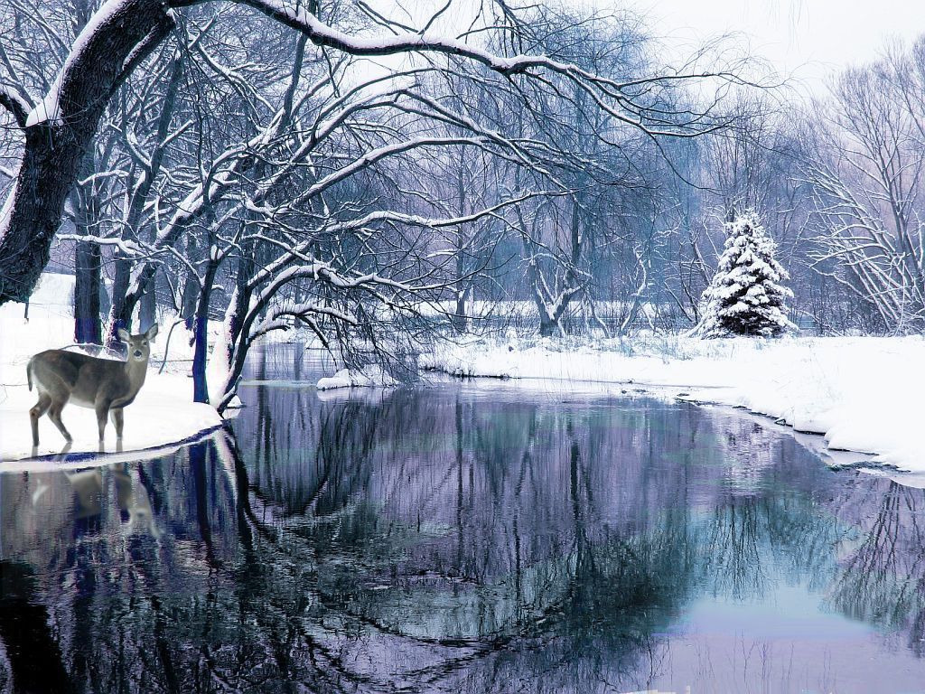 Peaceful Winter Images Wallpapers