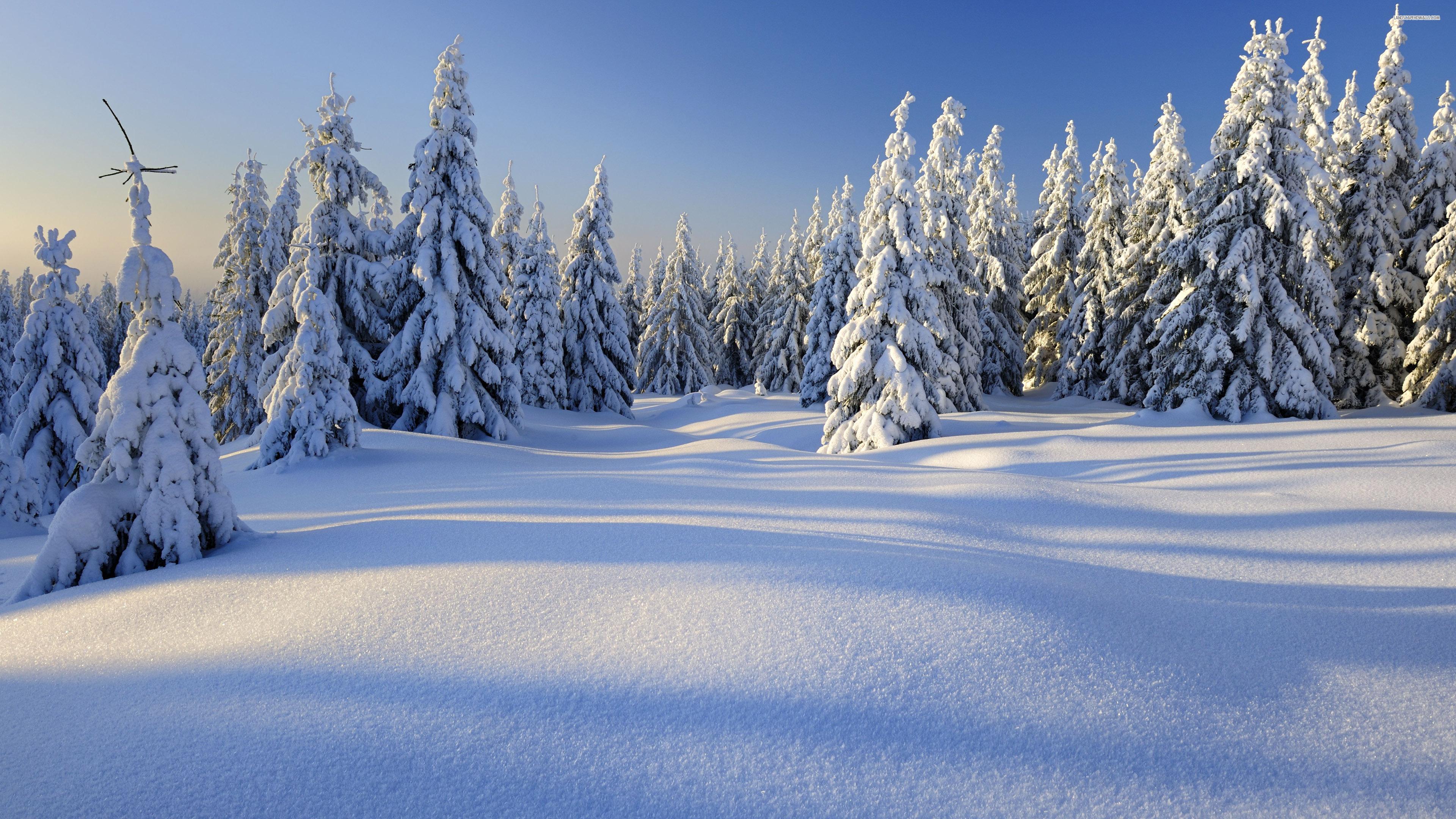 Peaceful Winter Images Wallpapers