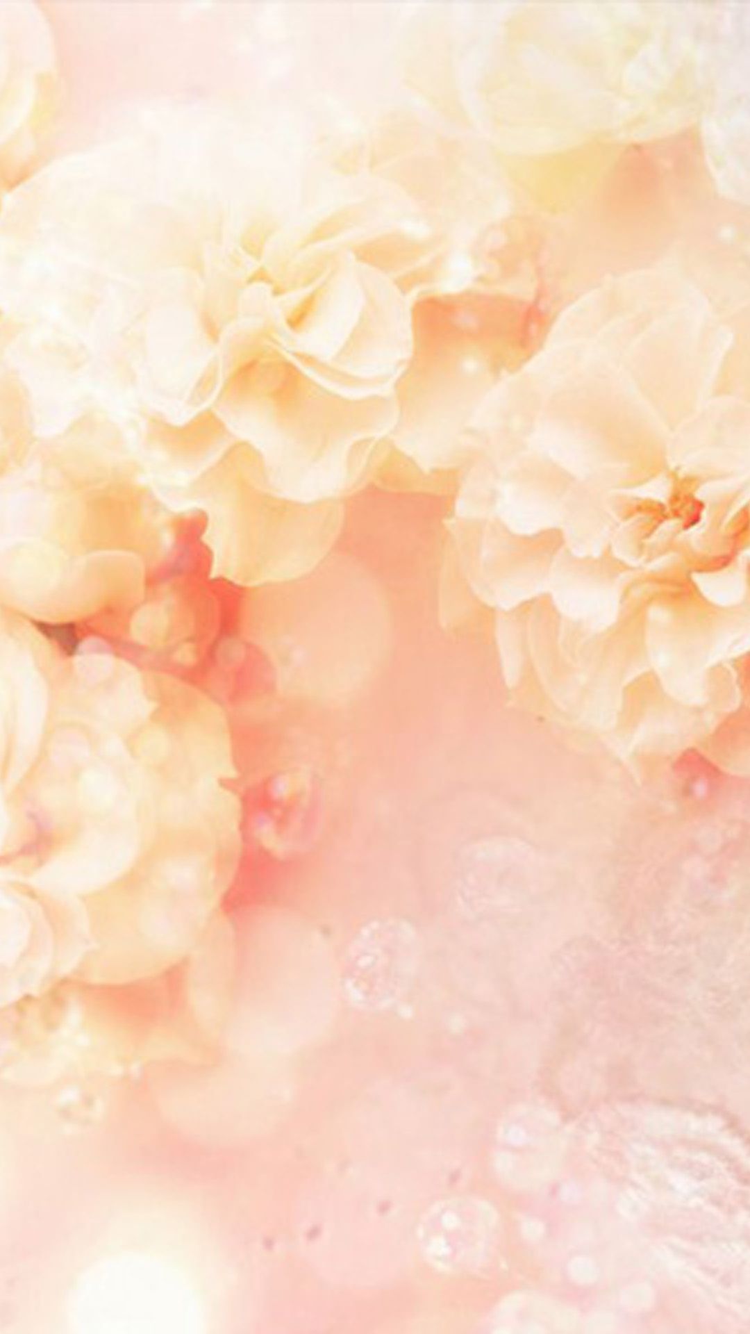 Peach Flowers Wallpapers