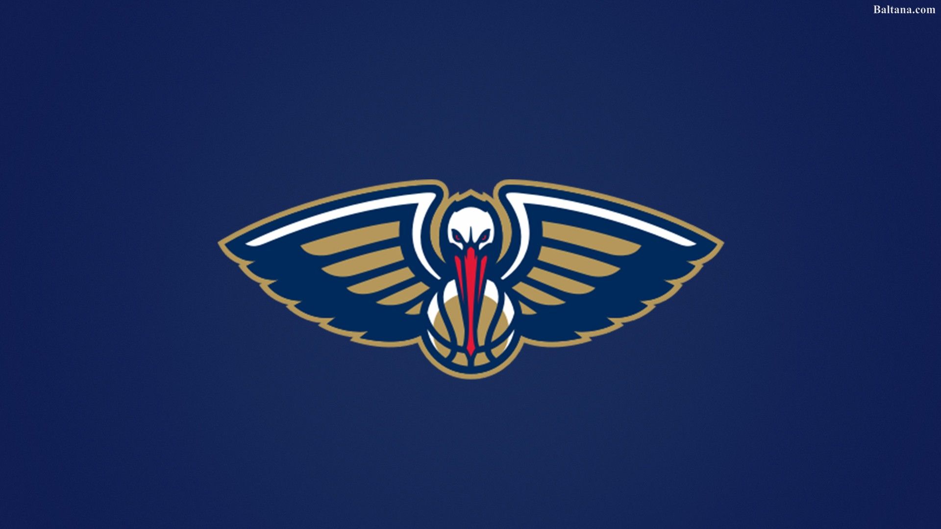 Pelicans Wallpapers