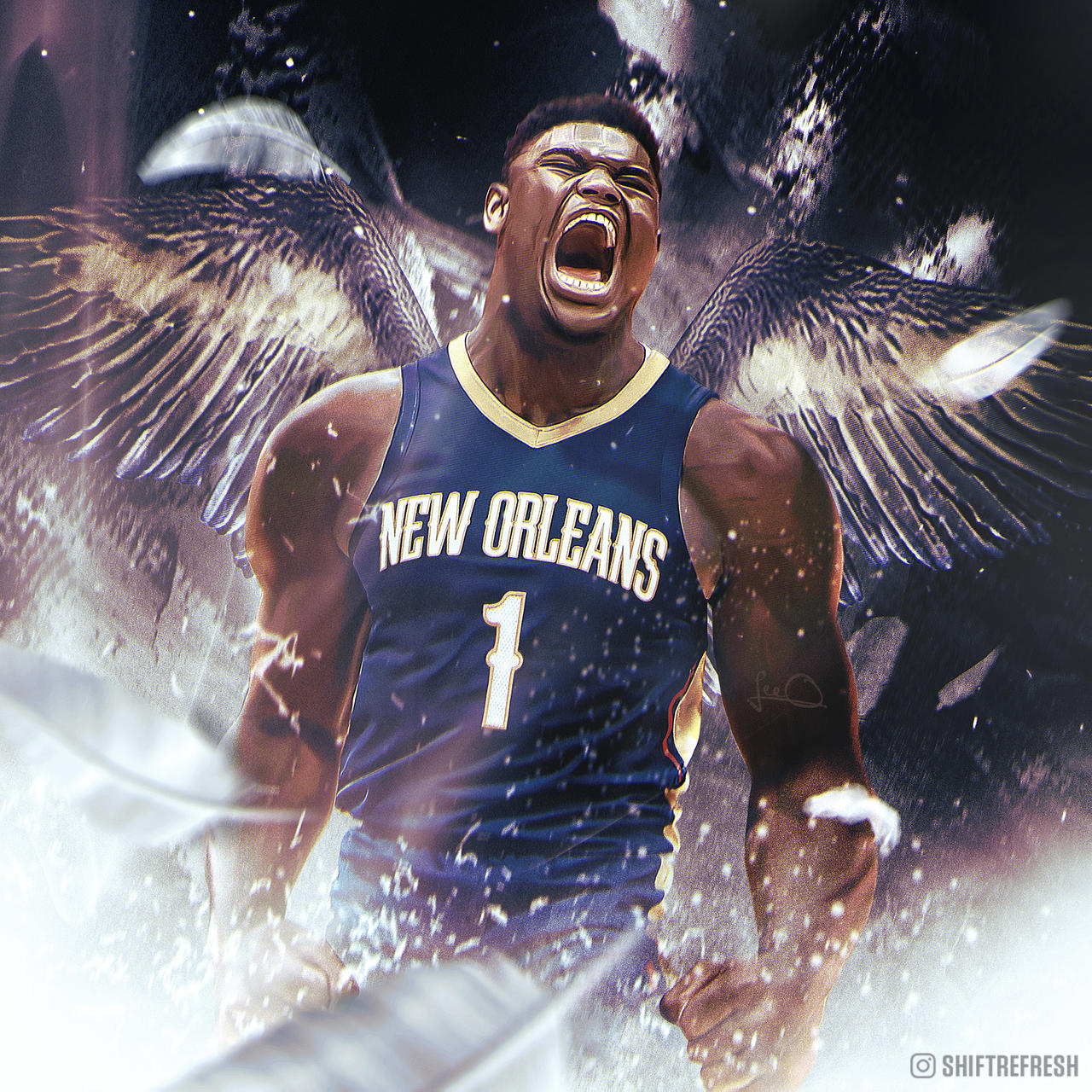 Pelicans Wallpapers