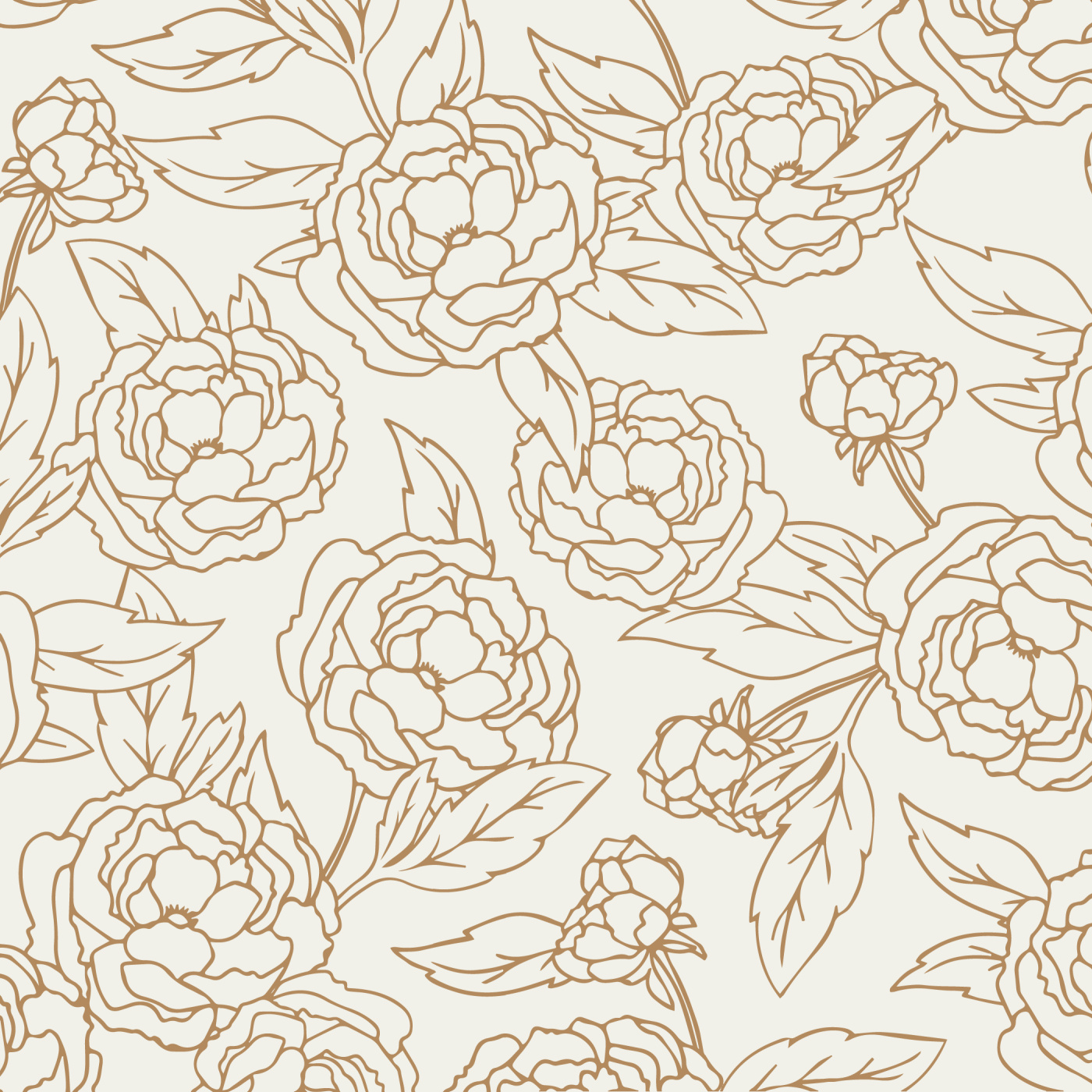 Peonies Wallpapers