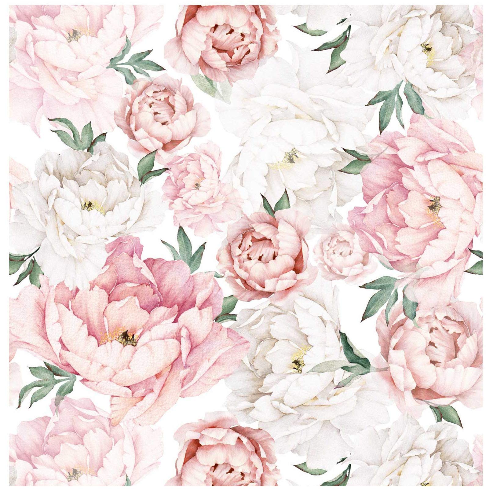 Peonies Wallpapers