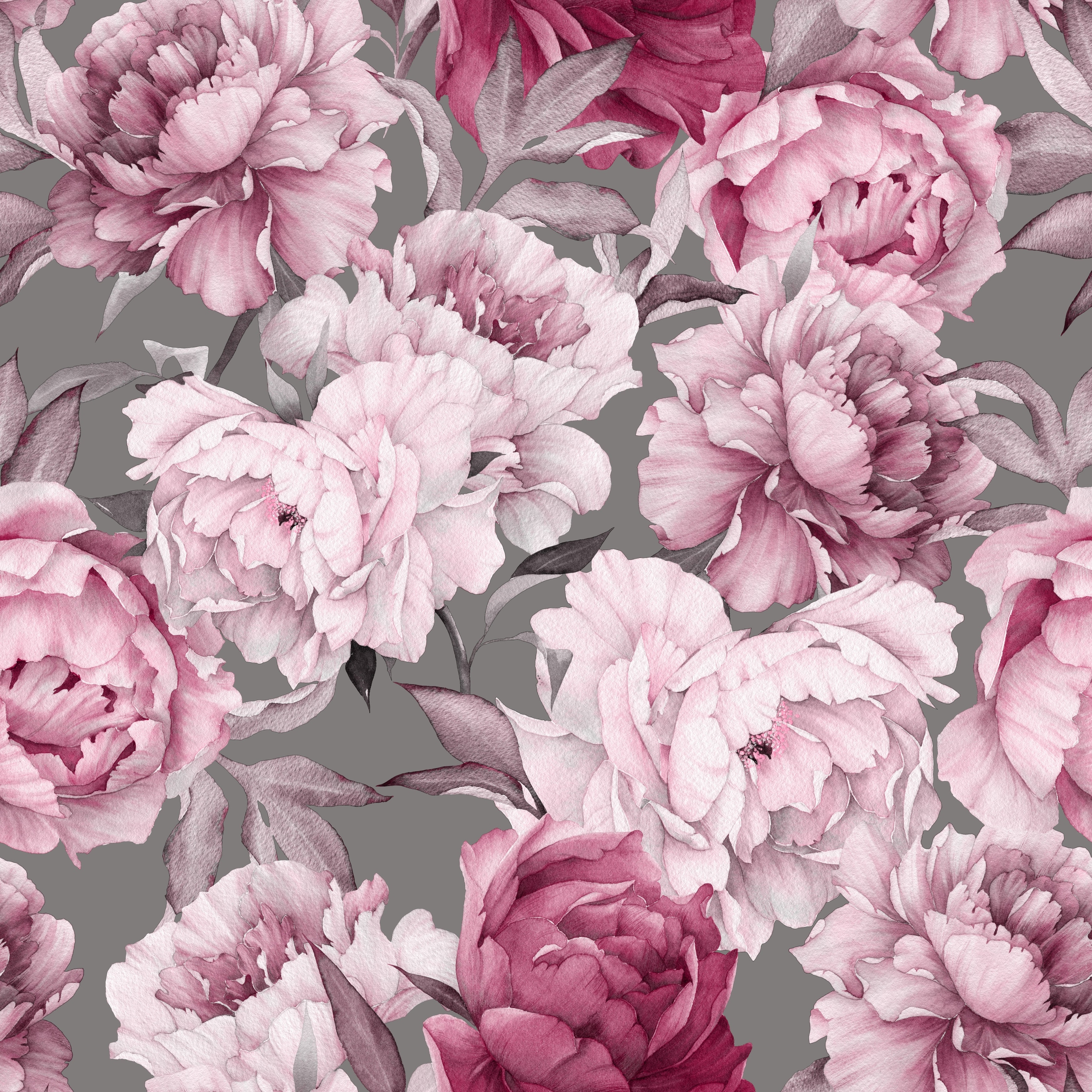 Peonies Wallpapers