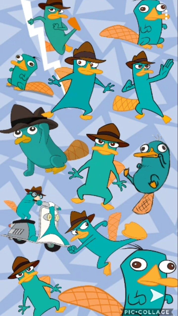 Perry The Platypus Wallpapers