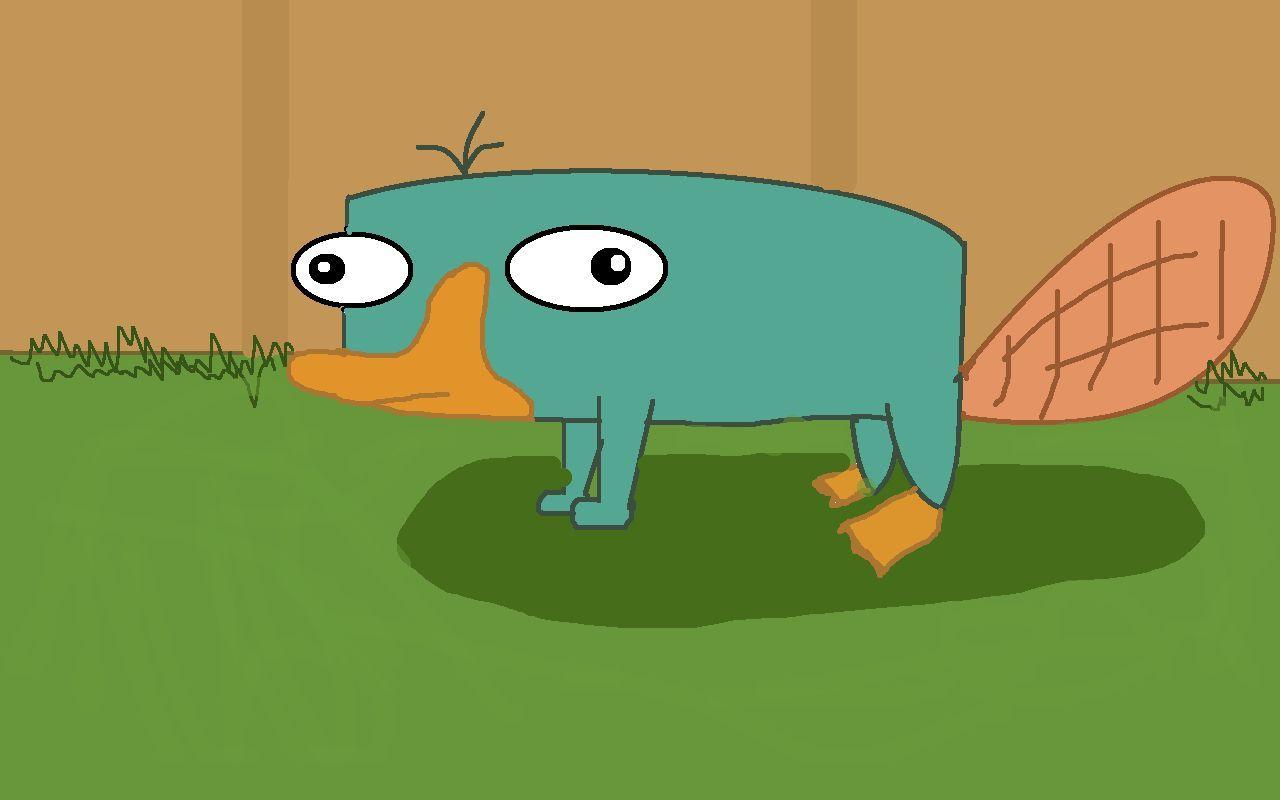 Perry The Platypus Wallpapers